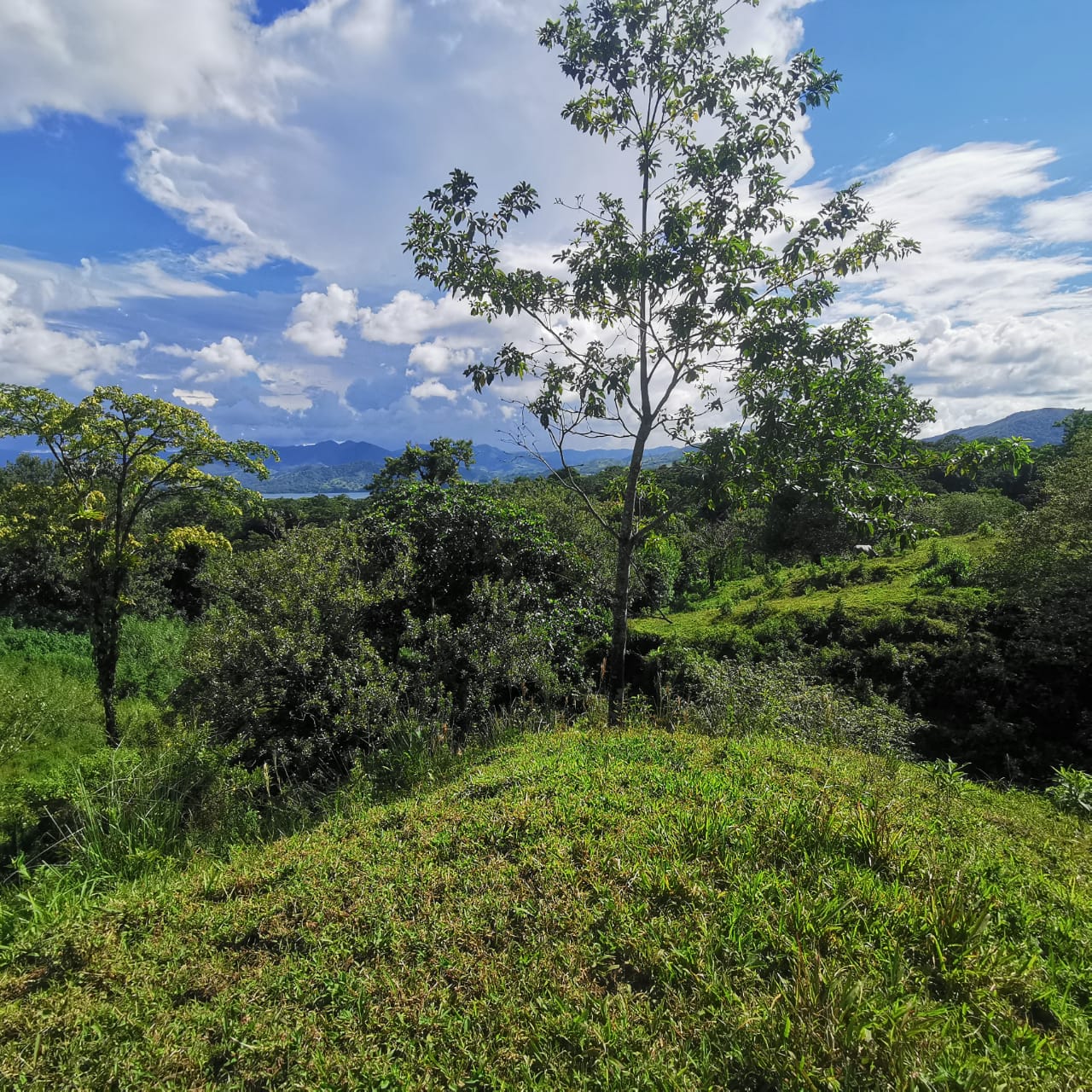 Exceptional 14,445 m² Lot in La Unión, Arenal – Views of Lake Arenal photo 10