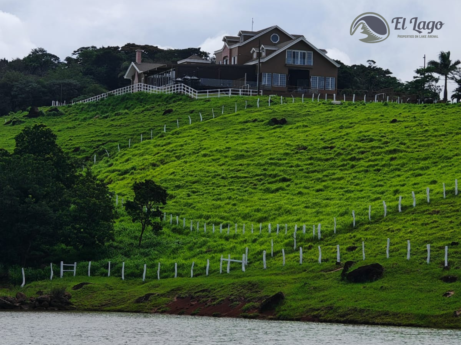 Luxury Estate w/ 8 BD, 9 BA, Private Forest, and Development Potential photo 110