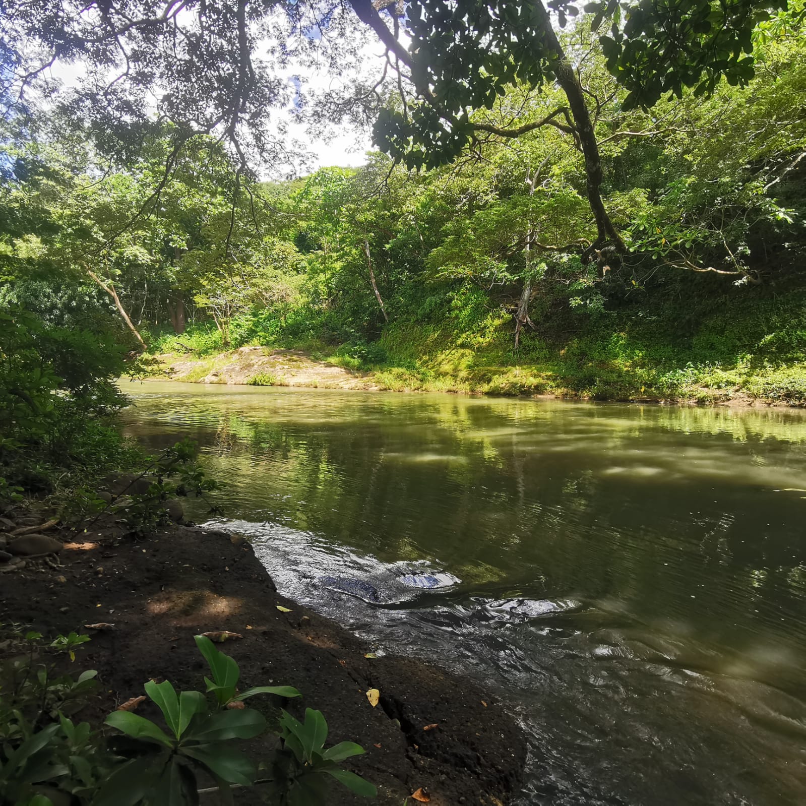 450-Hectare Estate w/ Nature Reserve, Three Homes & Rivers in Guanacaste photo 69