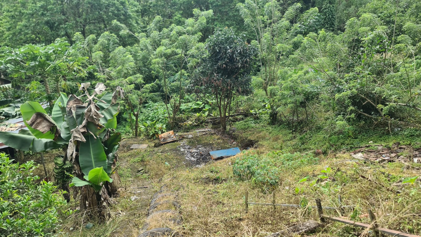 Modest, 4 Bedroom 2 Bathroom house Lake View in Nuevo Arenal photo 19