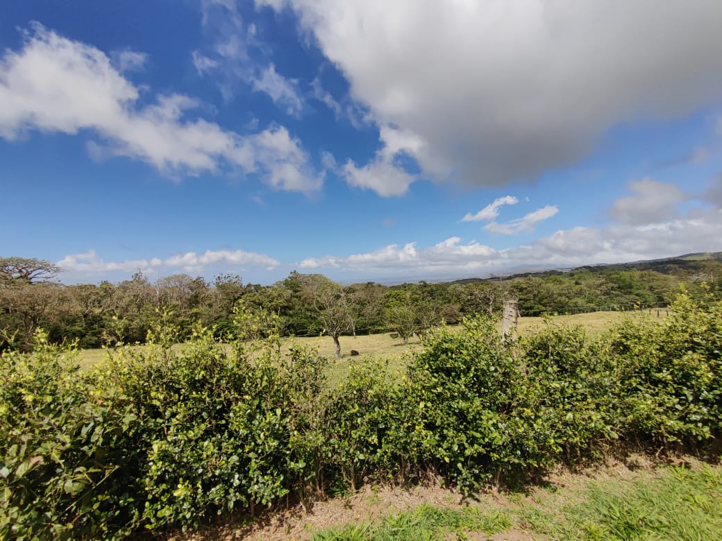 721 m2 Lot Gorgeous Views of Mountains, Jungles and Guanacaste Lowlands photo 13