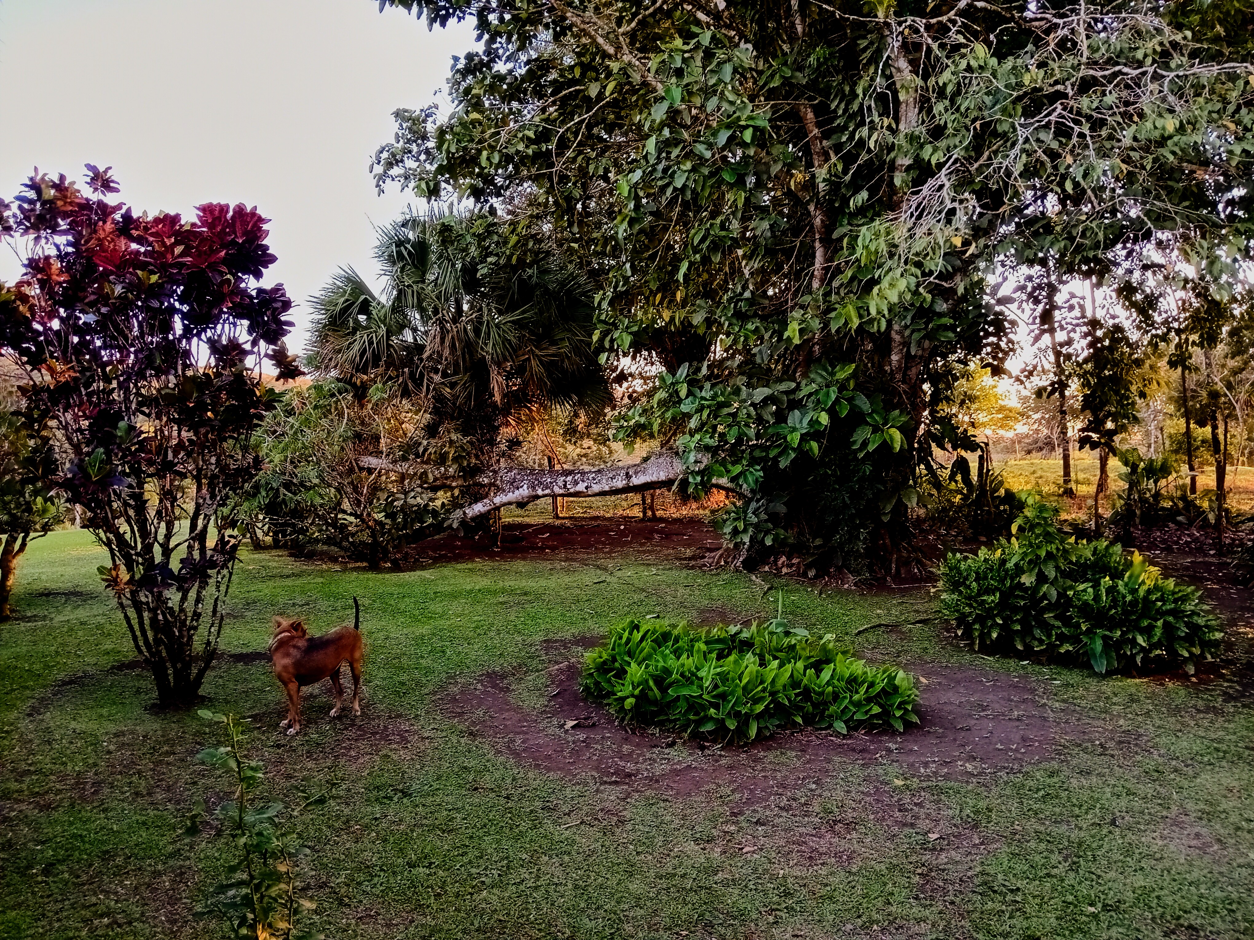 Commercial property: main house + 5 cabins + greenhouse + stable in Cinco Esquinas  photo 76