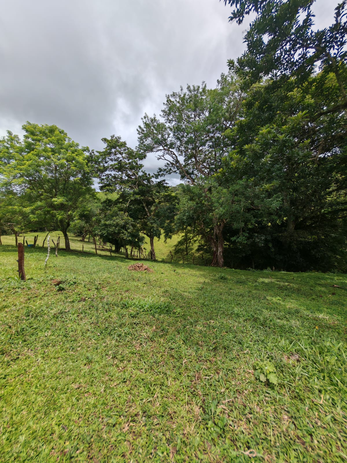 Beautiful 3-bedroom, 2-bathroom Home on a Sprawling 26,313 m² (6.5 Acres) lot  photo 28