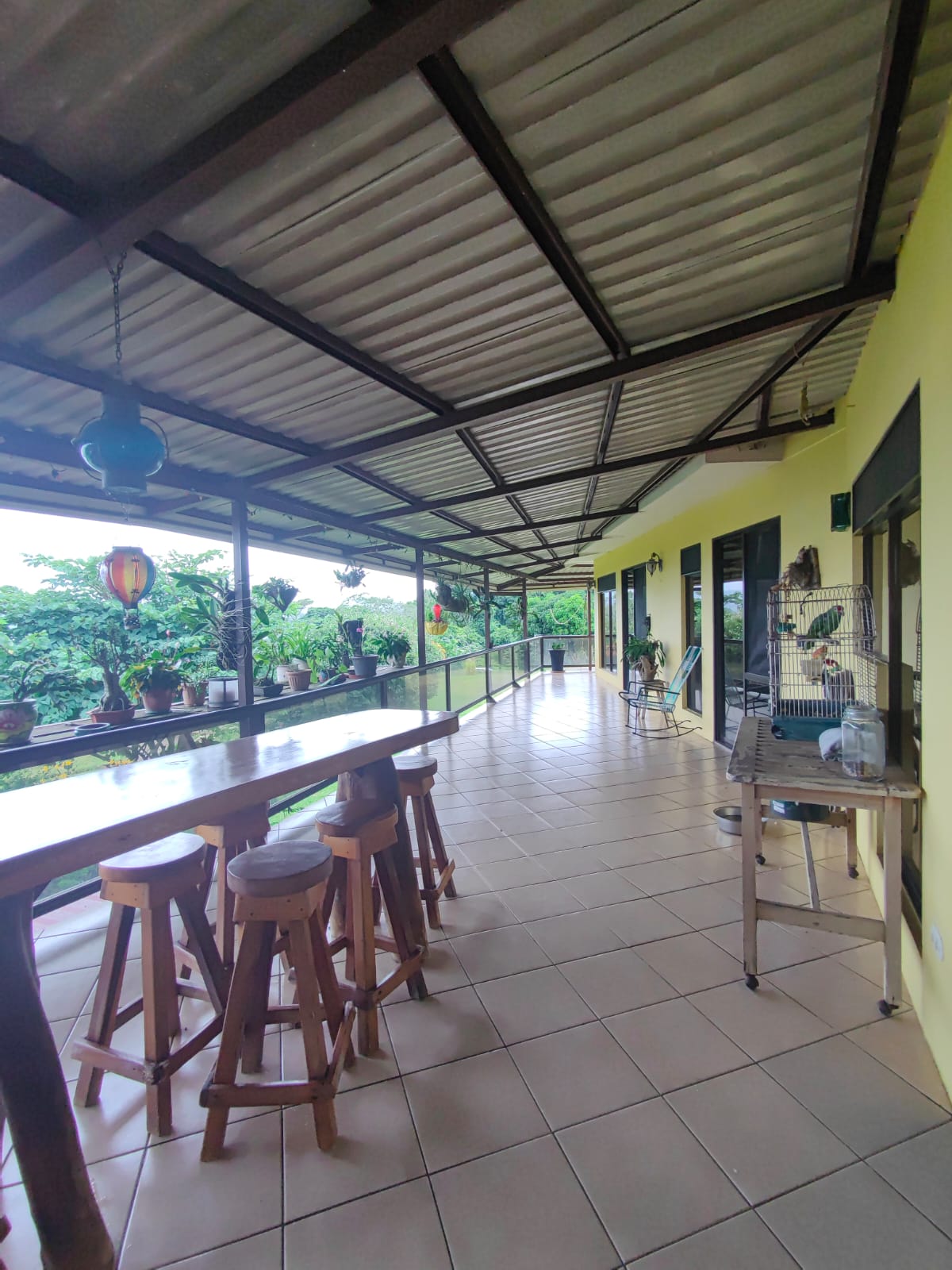 Sprawling, 2 BD/2 BA Home+Office+Apt+Stables+Green House in Tronadora photo 36