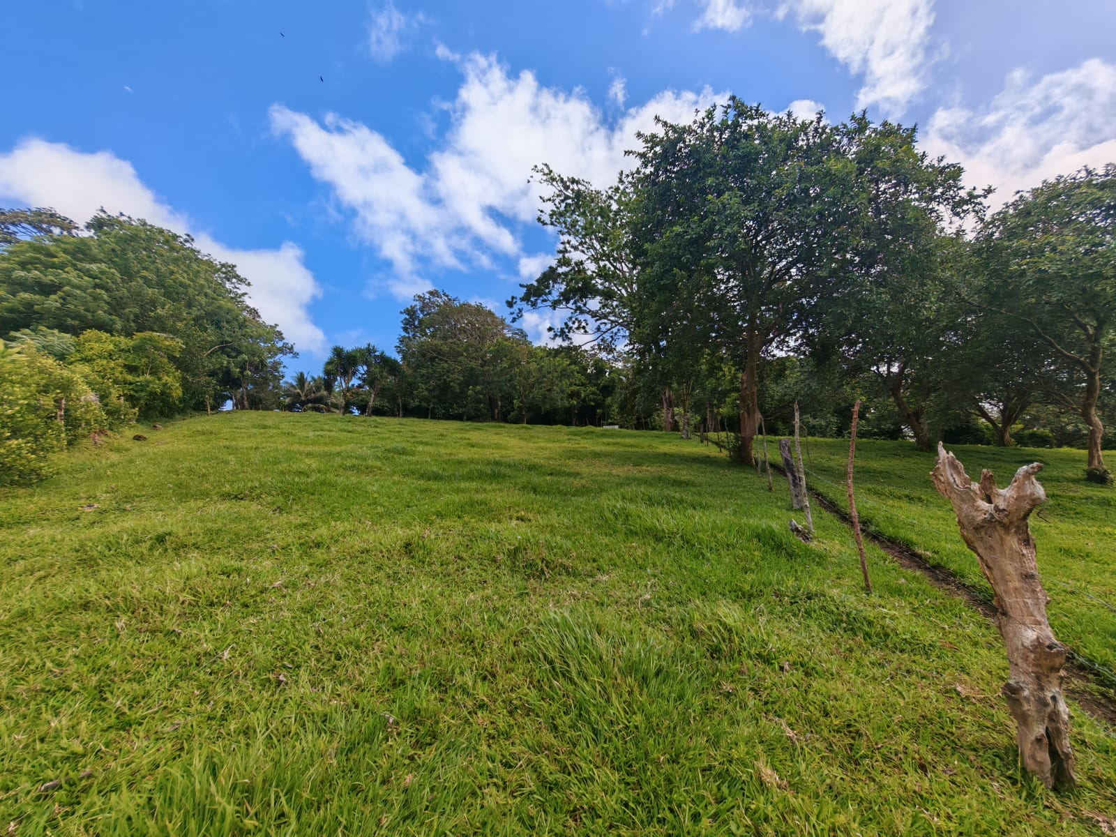 15,750 m² Lakefront Lot with Volcano Views, Fruit Trees & Direct Lake Access  photo 6