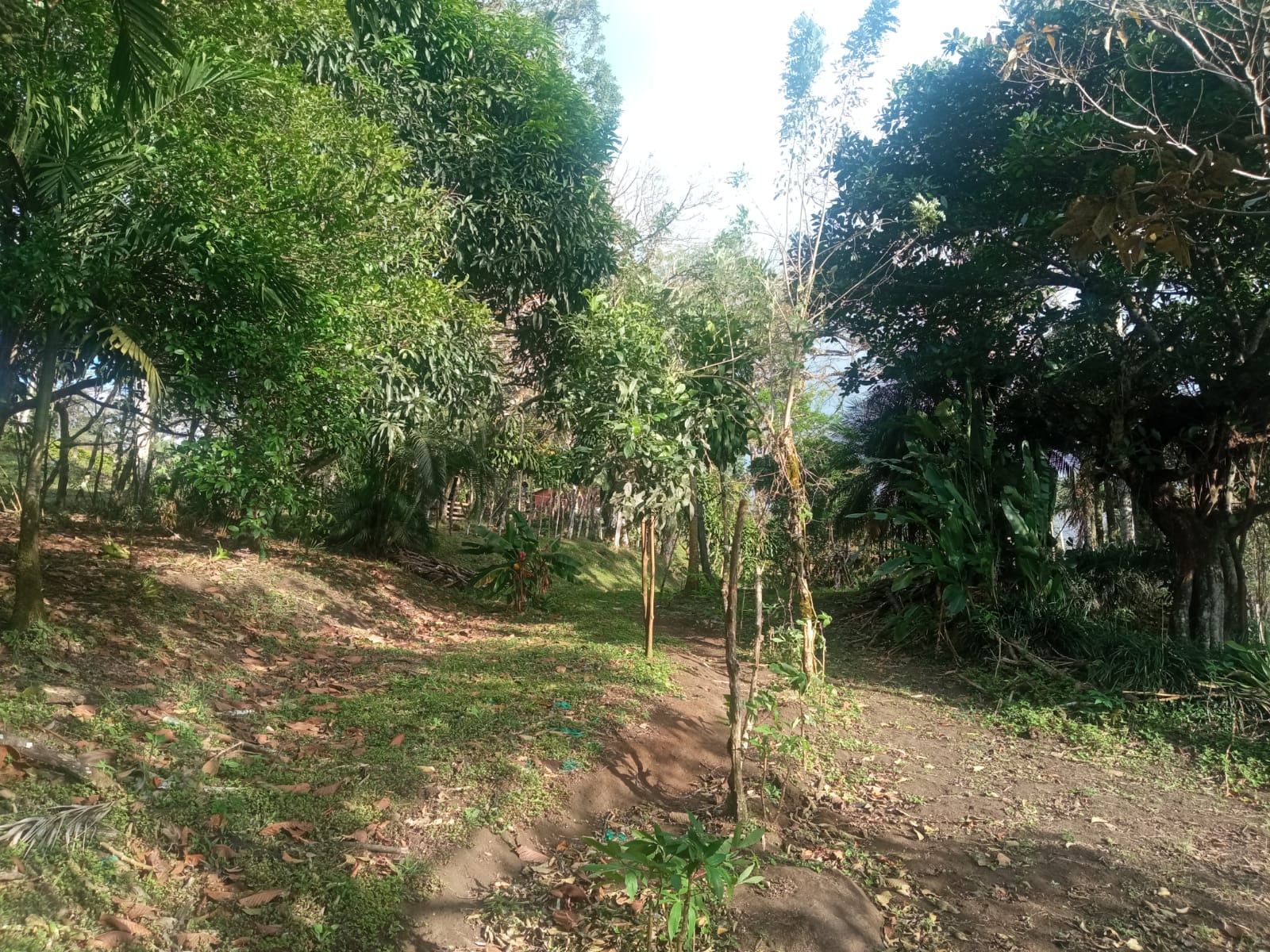 Beautiful, 1407 m2 (0,34 acres) Lot in Parcelas de Quebrada Azul, Tilarán photo 16