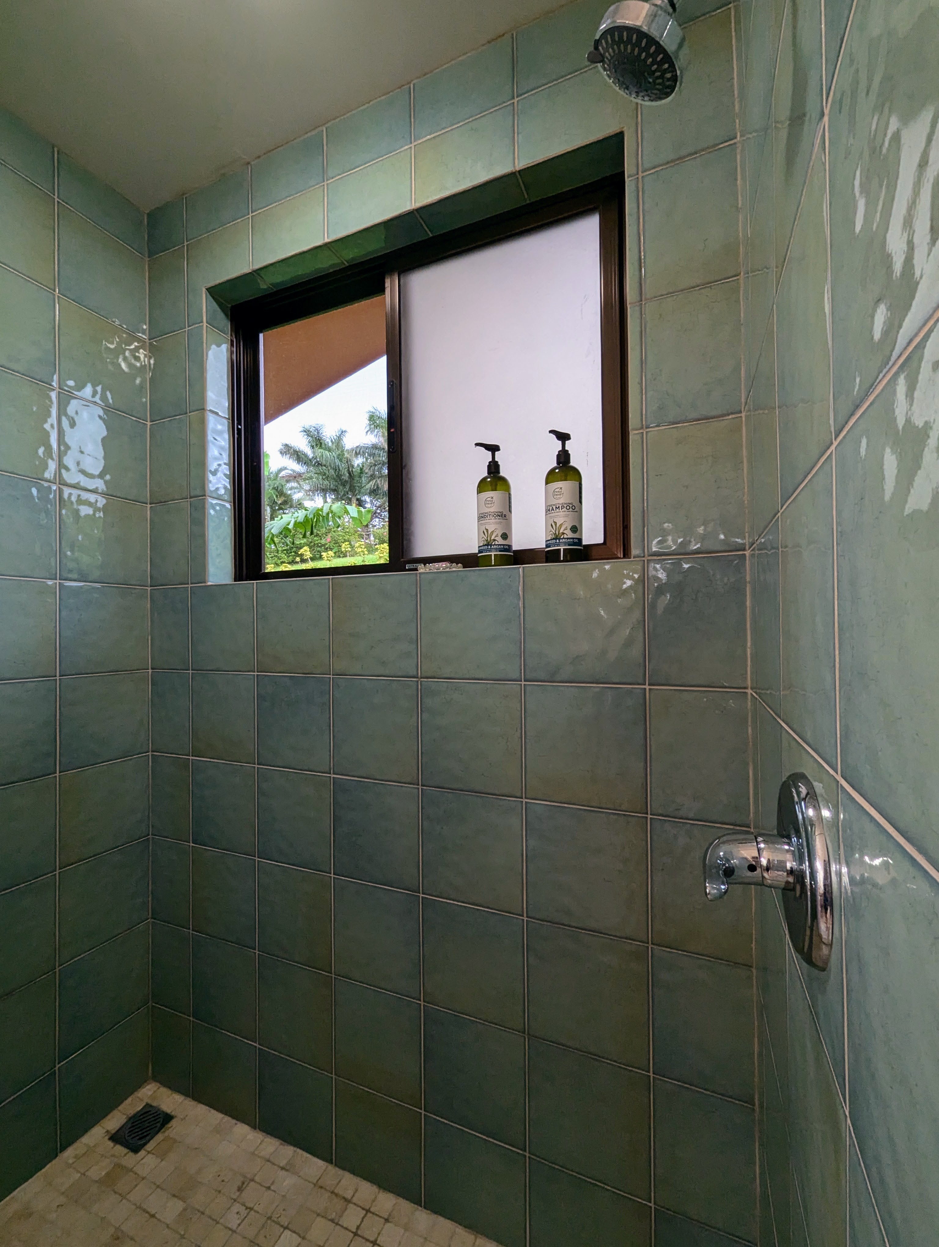 Stunning 4-Casitas Property in Vistas del Lago w/ Amazing Lake & Volcano View photo 22