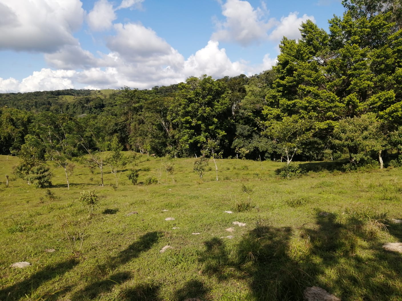 16-Hectare Farm with a Private Well and Views of Lake Arenal in Nuevo Arenal photo 36