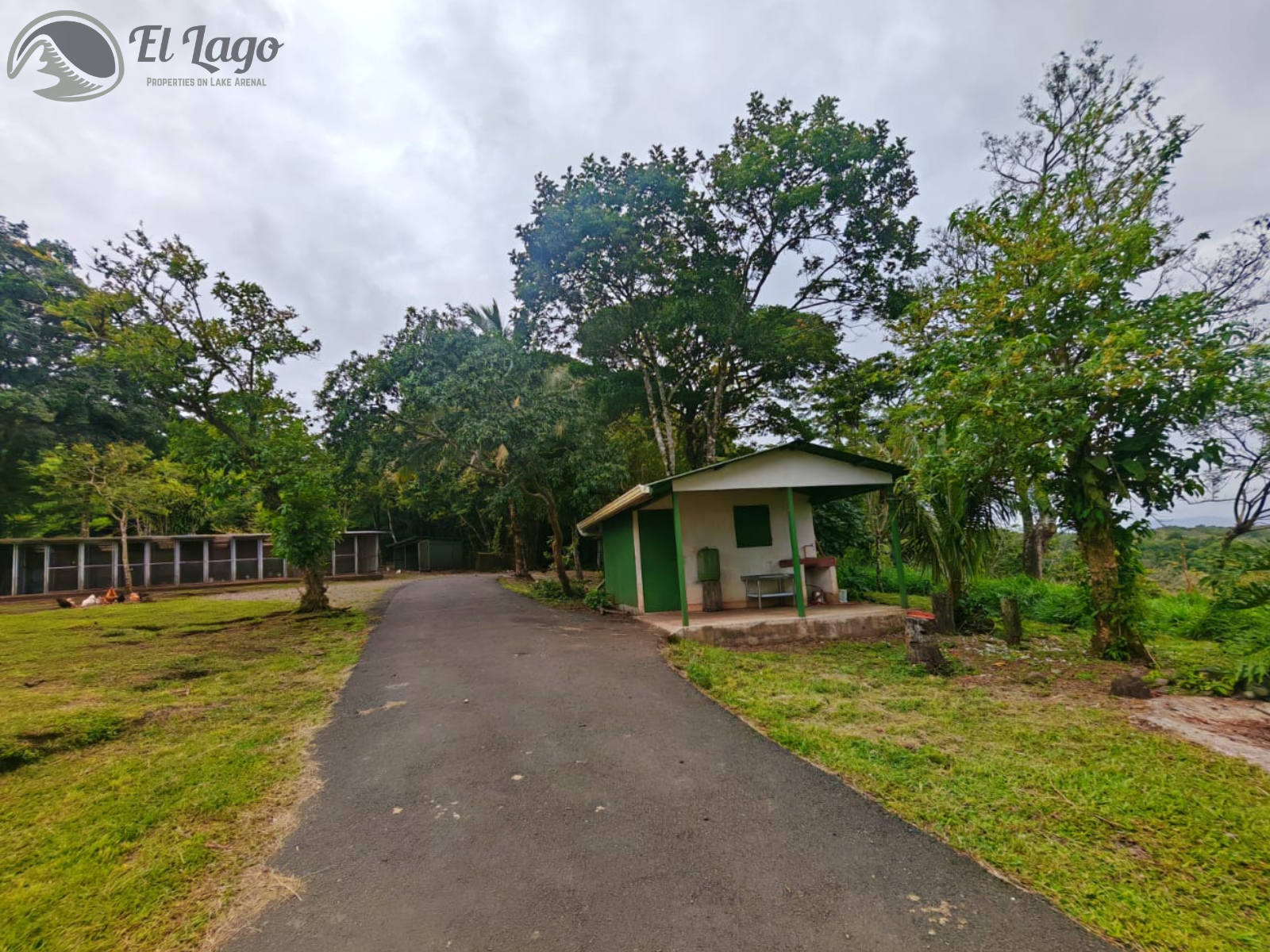 Luxury Estate w/ 8 BD, 9 BA, Private Forest, and Development Potential photo 99