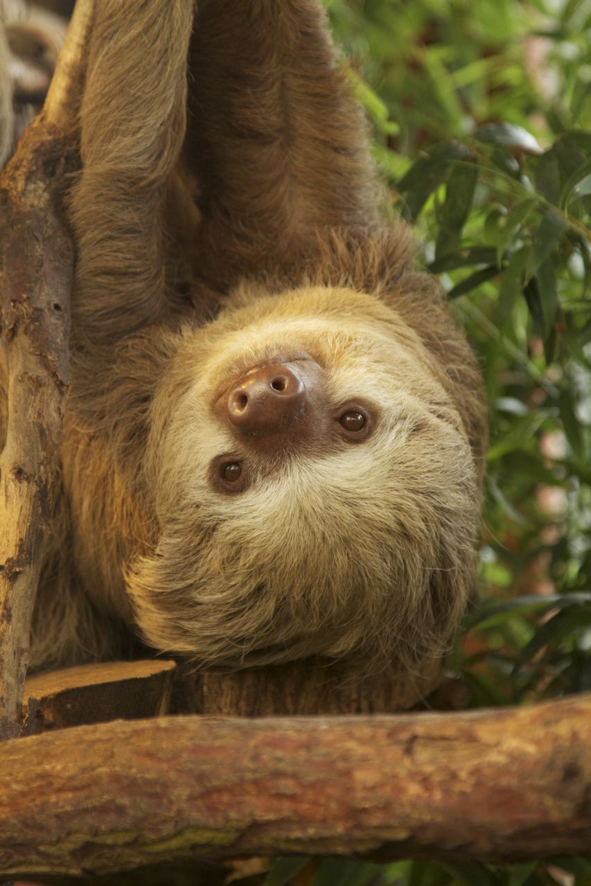 Casa Pink Sky 3BD 3BA – A Private Sanctuary with Volcano & Mountain Views photo 38