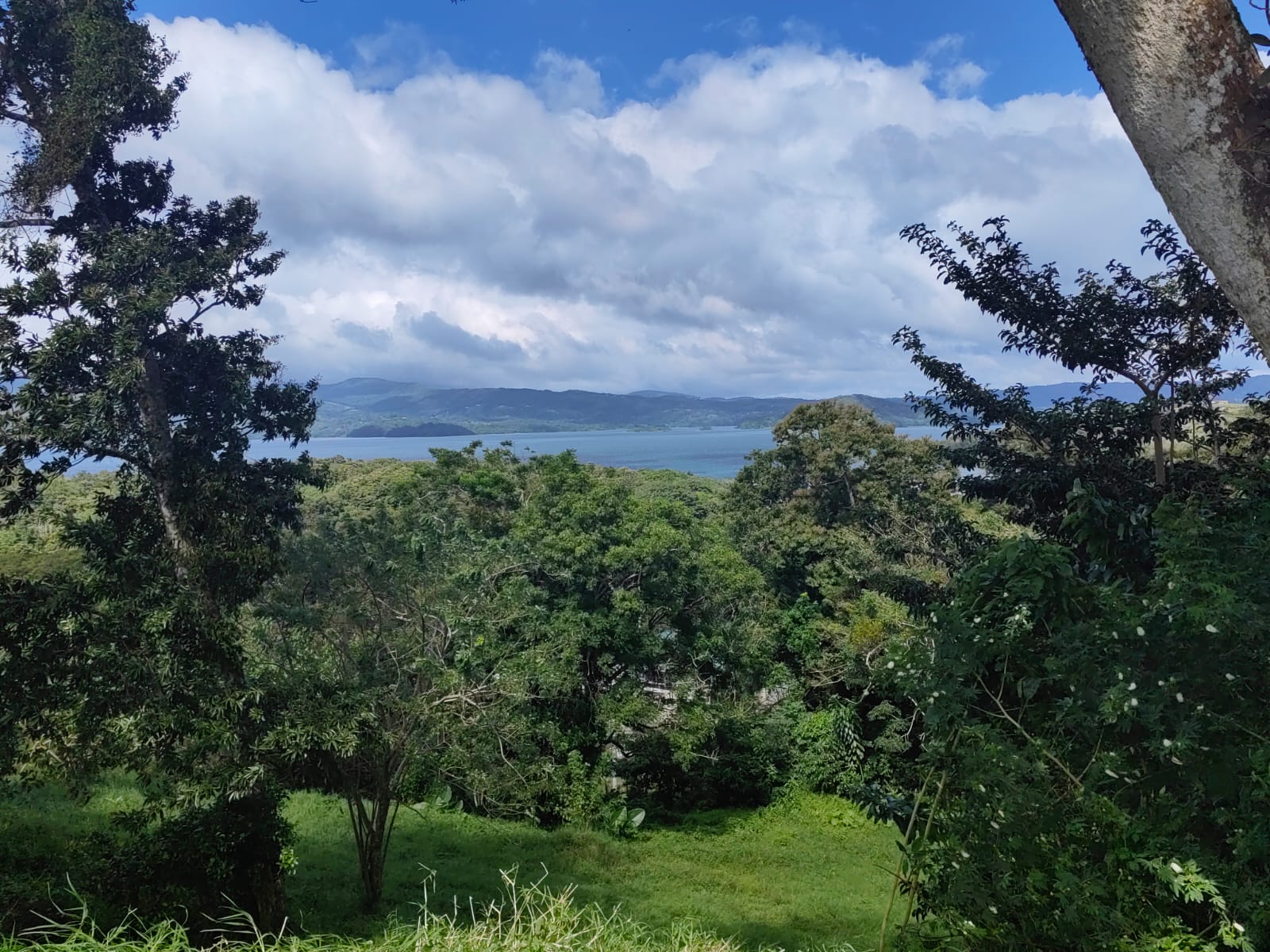 Large Lake view lot of 12,159 square meters in San Luis, Tilarán  photo 16