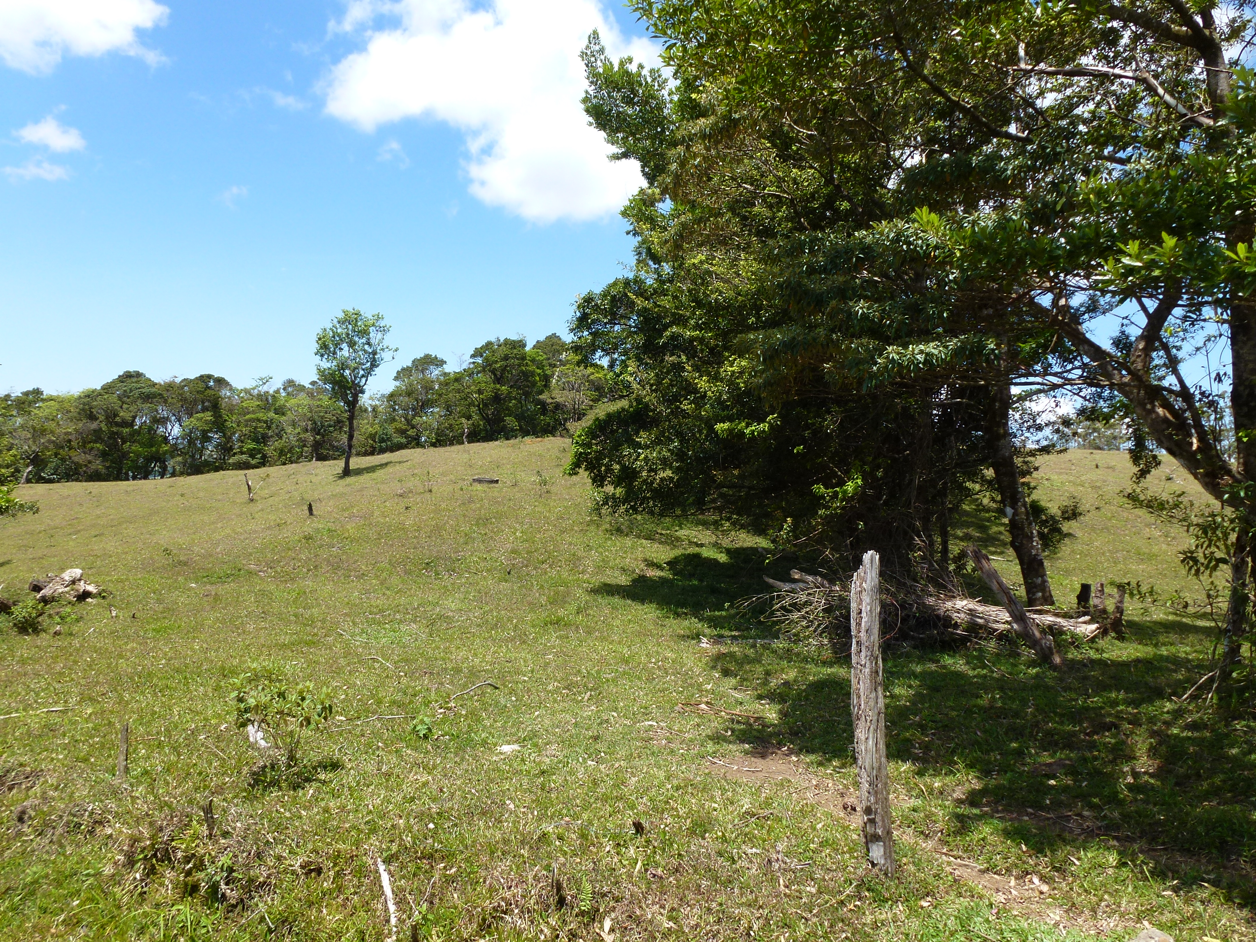 2.26 Acre Lot with Stunning Views Of Lake Arenal and Volcano in Nuevo Arenal  photo 14