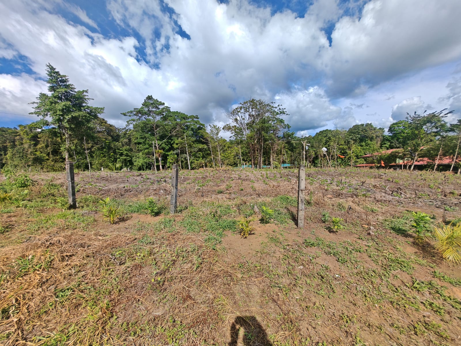 Prime 1,000 m² Lot with Stunning Lake & Mountain Views In Arenal  photo 7