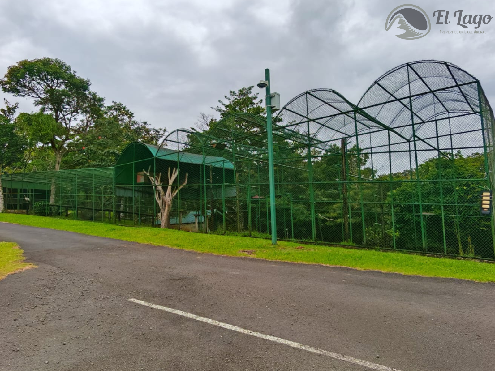 Luxury Estate w/ 8 BD, 9 BA, Private Forest, and Development Potential photo 104