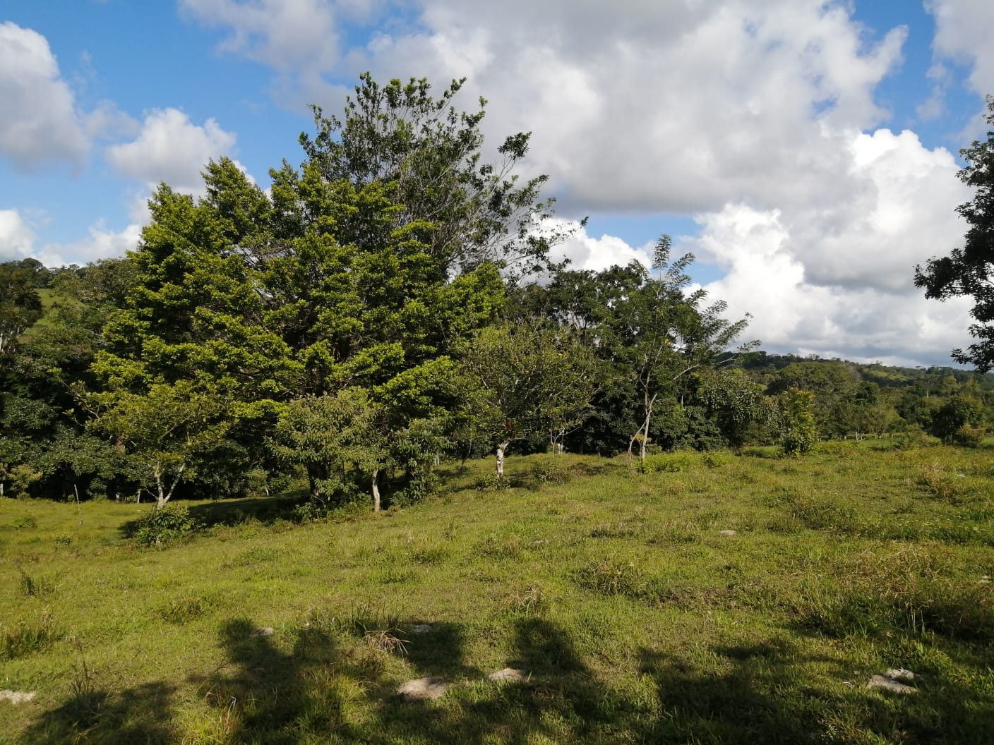 16-Hectare Farm with a Private Well and Views of Lake Arenal in Nuevo Arenal photo 26