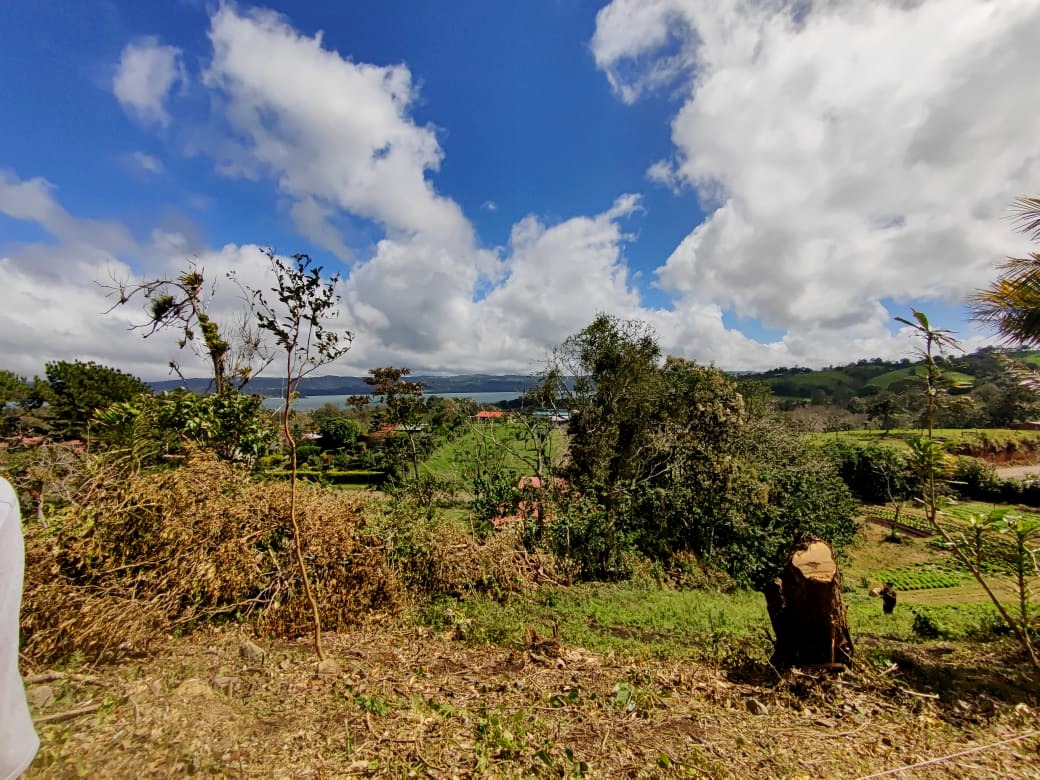 Beautiful 2932 m2 lot with Lake Arenal View in Tronadora  photo 6