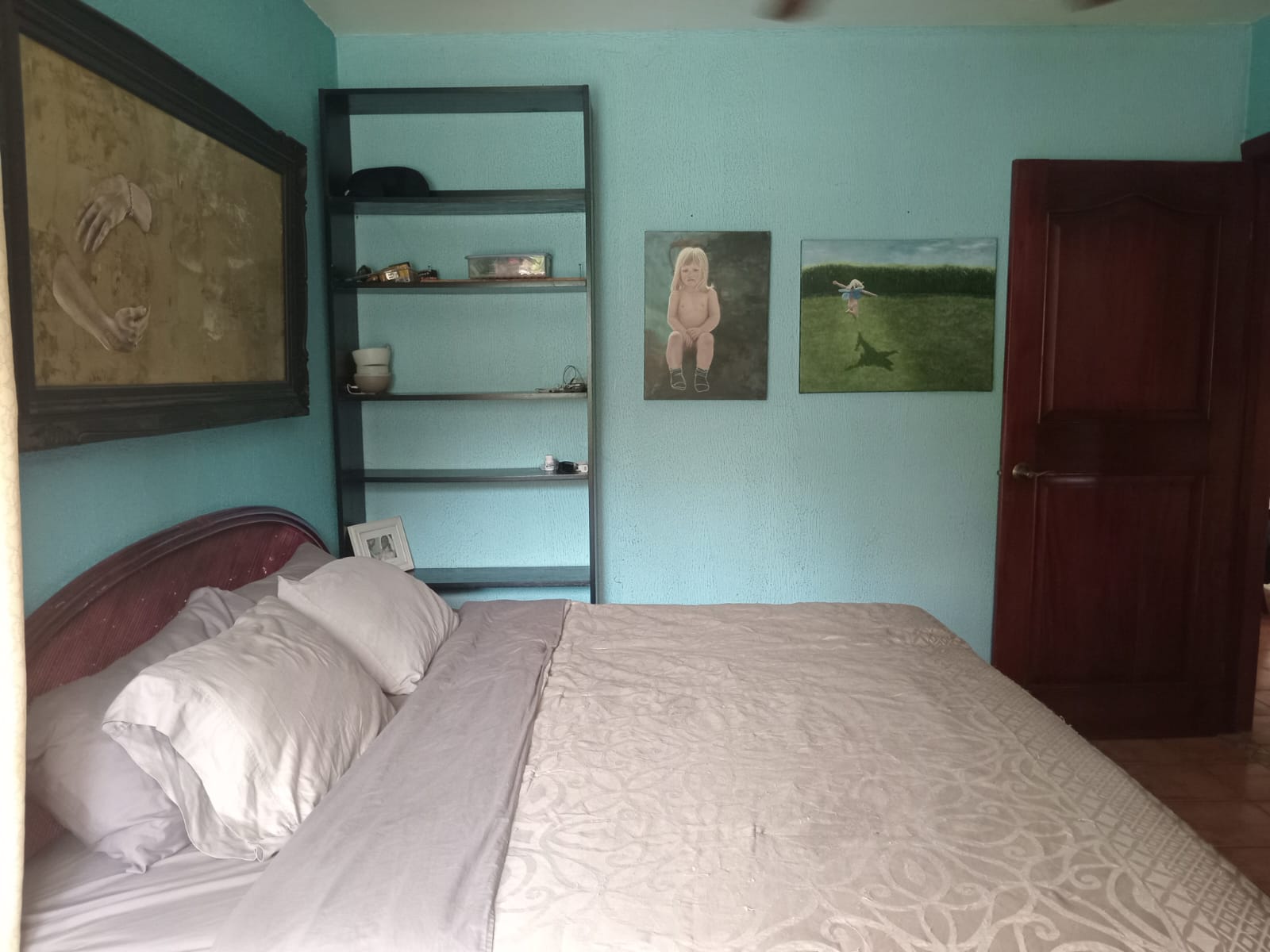 Commercial property: main house + 5 cabins + greenhouse + stable in Cinco Esquinas  photo 19