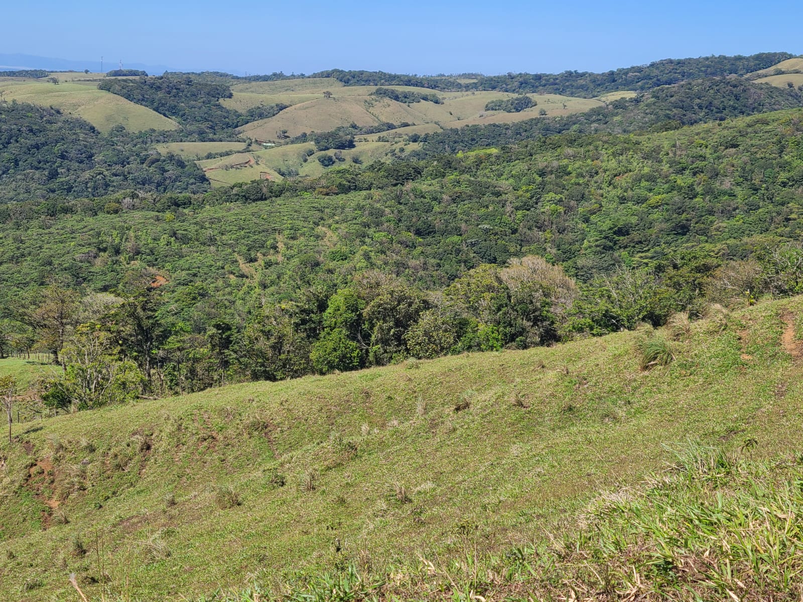 Spectacular 41,700 Sqm Property with Breathtaking Views in Río Piedras photo 12