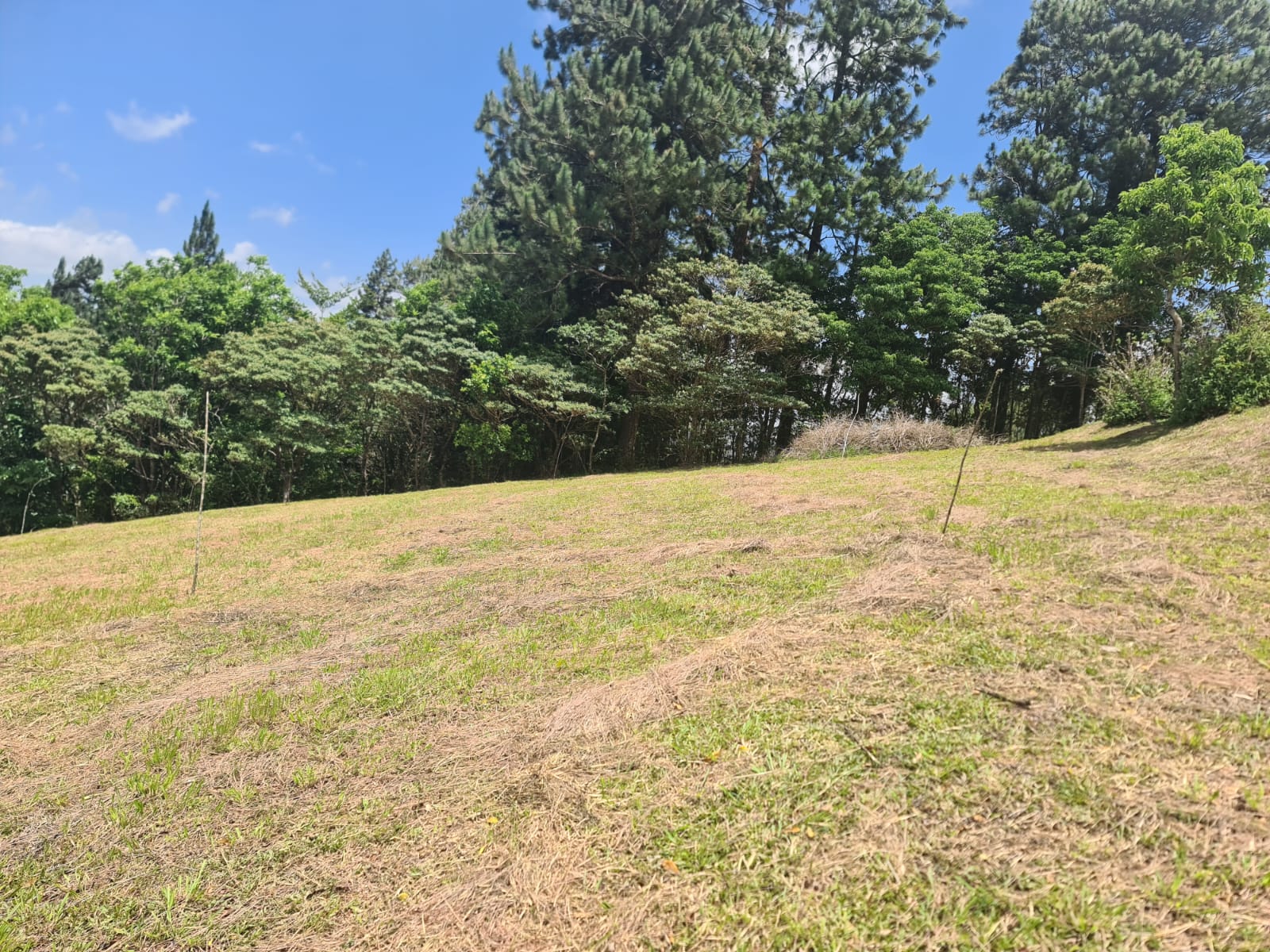 2236 M2 (0,55 acres) Lot with Huge Volcano Views in El Aguacate photo 15