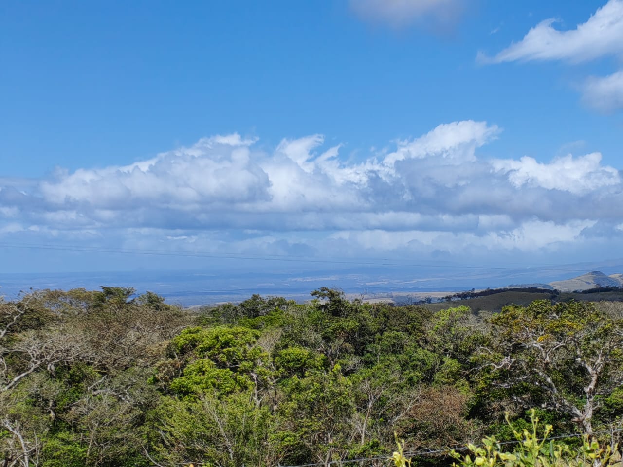 721 m2 Lot Gorgeous Views of Mountains, Jungles and Guanacaste Lowlands photo 9