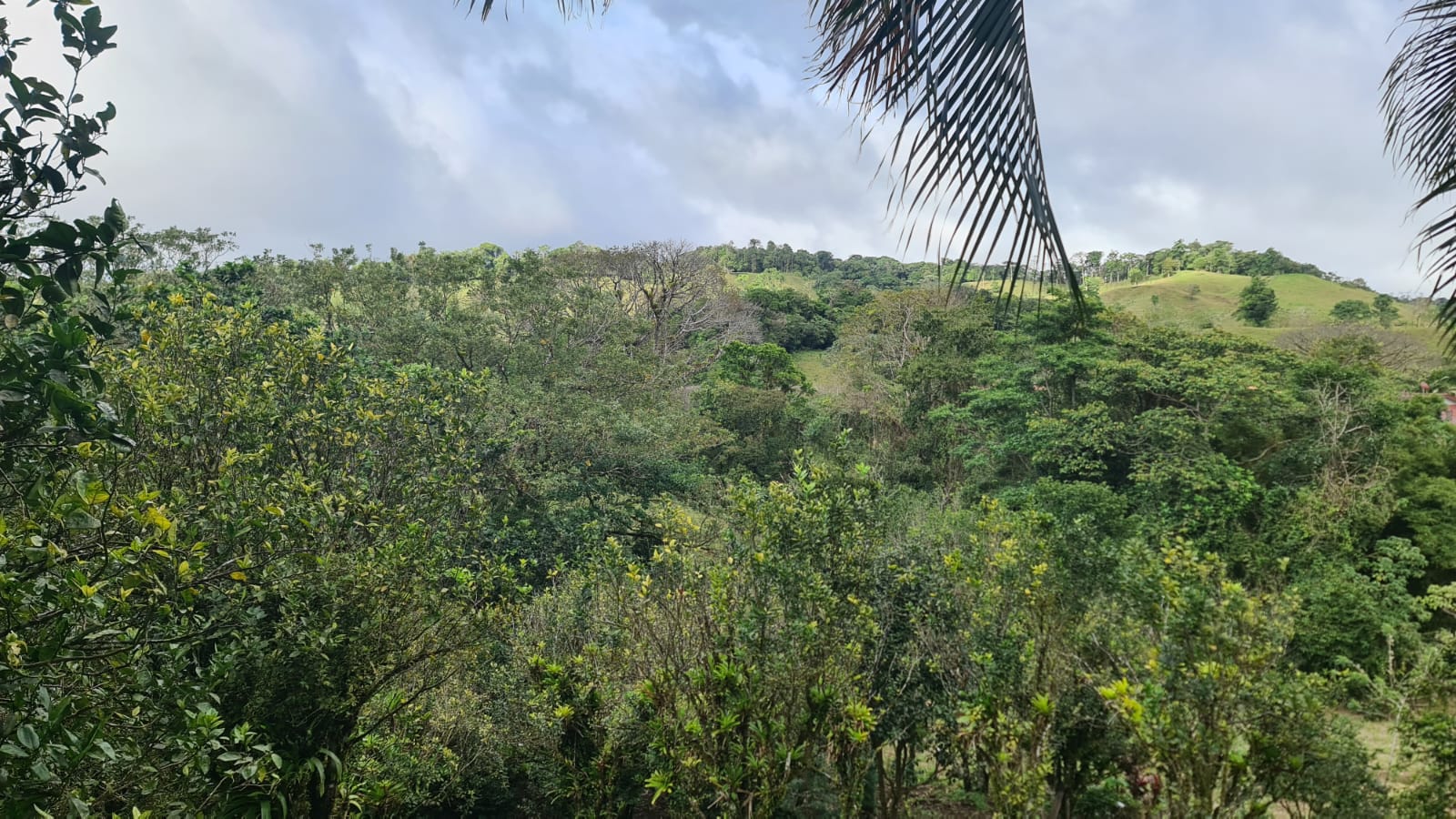 Lovely, 2625 M2 (0.64 acres) Lot in Mata de Caña, Nuevo Arenal photo 6