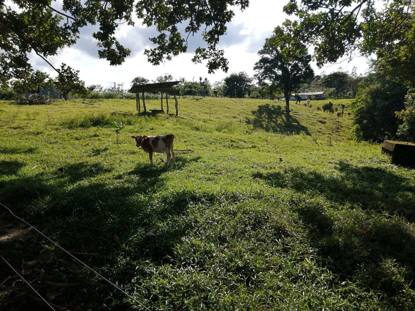 16-Hectare Farm with a Private Well and Views of Lake Arenal in Nuevo Arenal photo 42