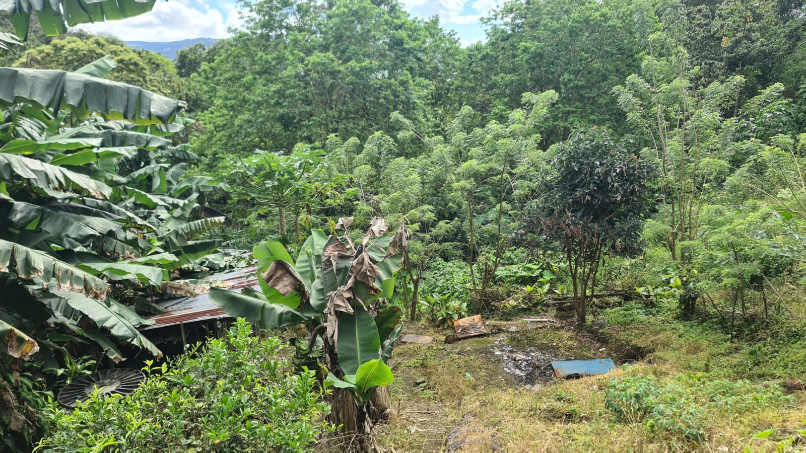 Modest, 4 Bedroom 2 Bathroom house Lake View in Nuevo Arenal photo 22
