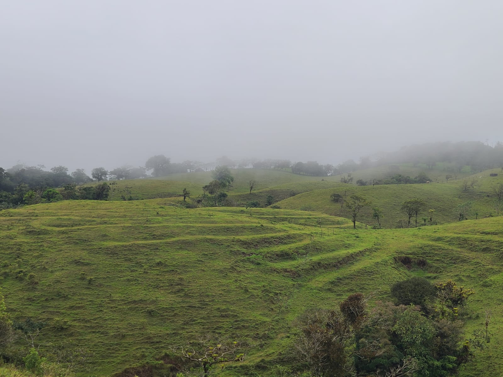 Spectacular 105-Hectare Lot with Lakes, Mountain Views, & Natural Resources  photo 16