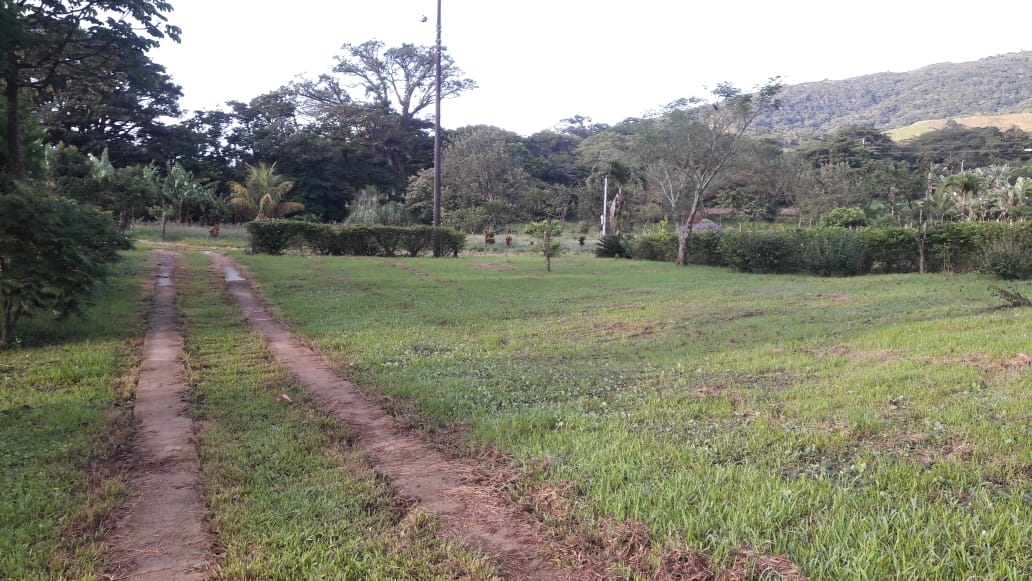 Lovely Studio Cabin on a 5,447 m2 Volcano View lot in Rio Naranjo photo 15