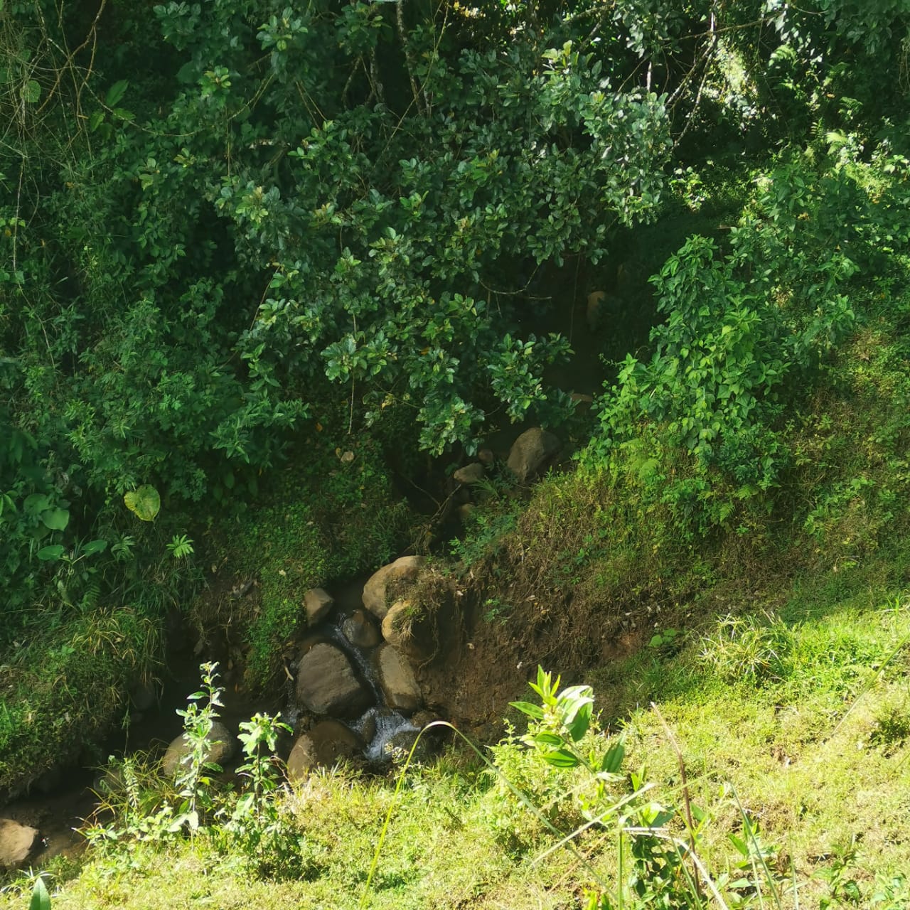 Exceptional 14,445 m² Lot in La Unión, Arenal – Views of Lake Arenal photo 20