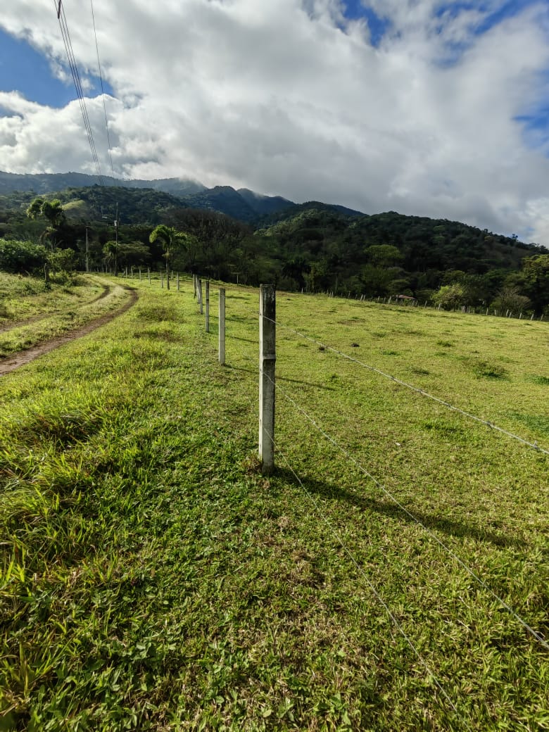 Beautiful Flat 5,624 m2 Lot With Views in Rio Naranjo, Guanacaste  photo 15
