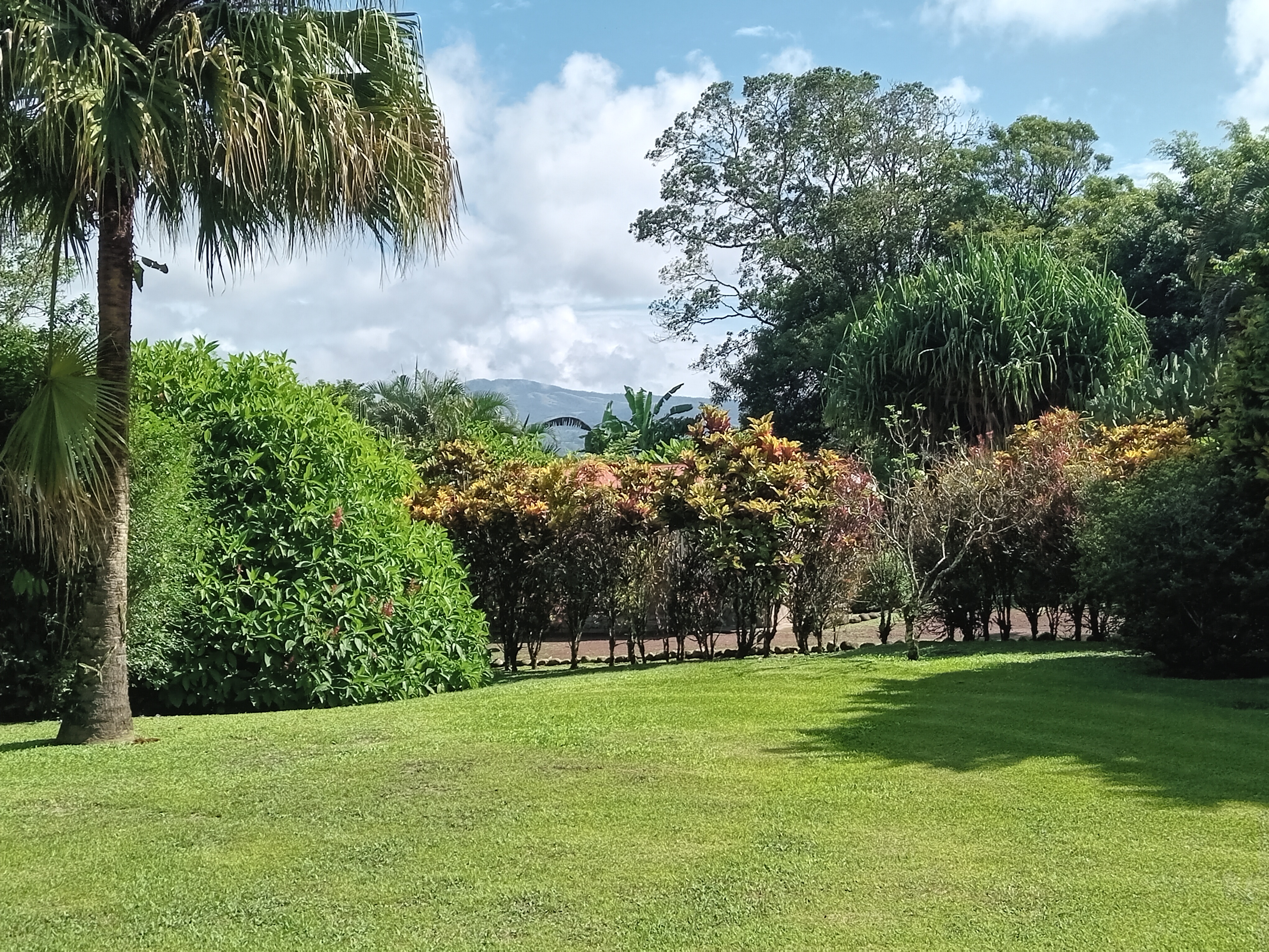 Commercial property: main house + 5 cabins + greenhouse + stable in Cinco Esquinas  photo 80