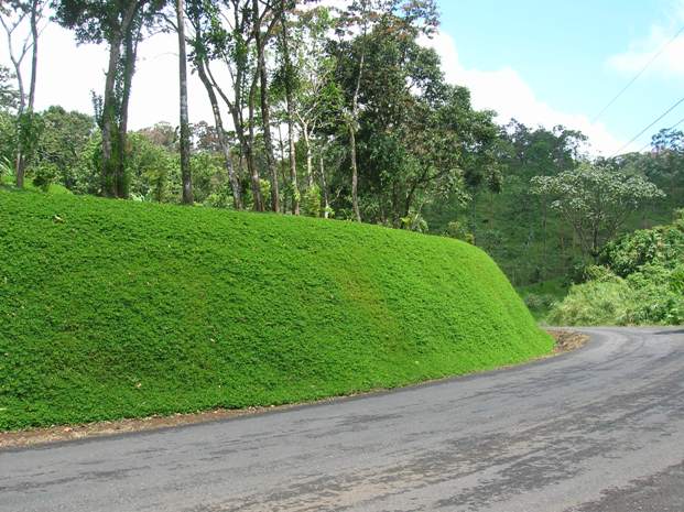 Prime Acreage directly on the Lake and Main Road In Nuevo Arenal photo 14