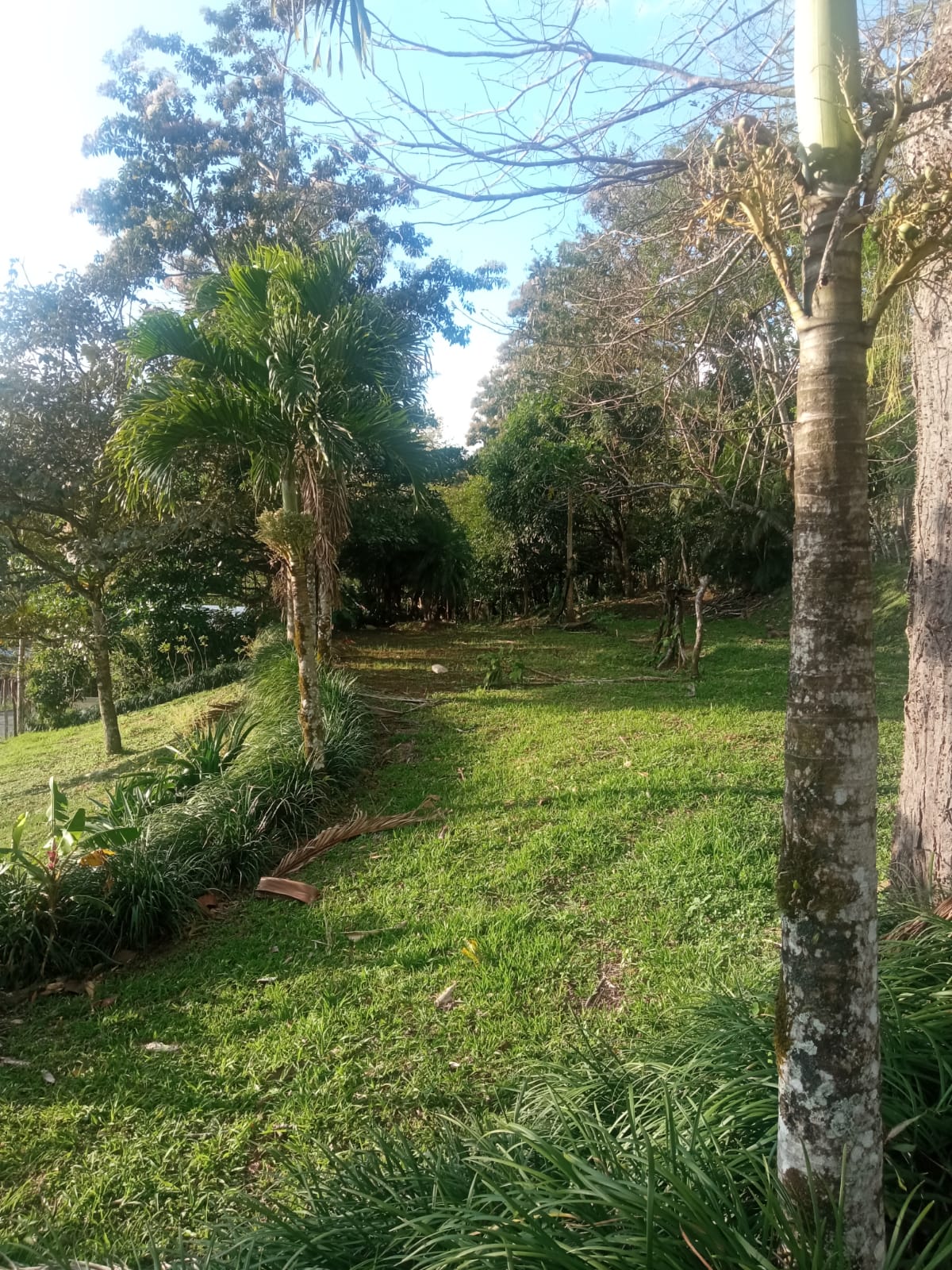 Beautiful, 1407 m2 (0,34 acres) Lot in Parcelas de Quebrada Azul, Tilarán photo 7