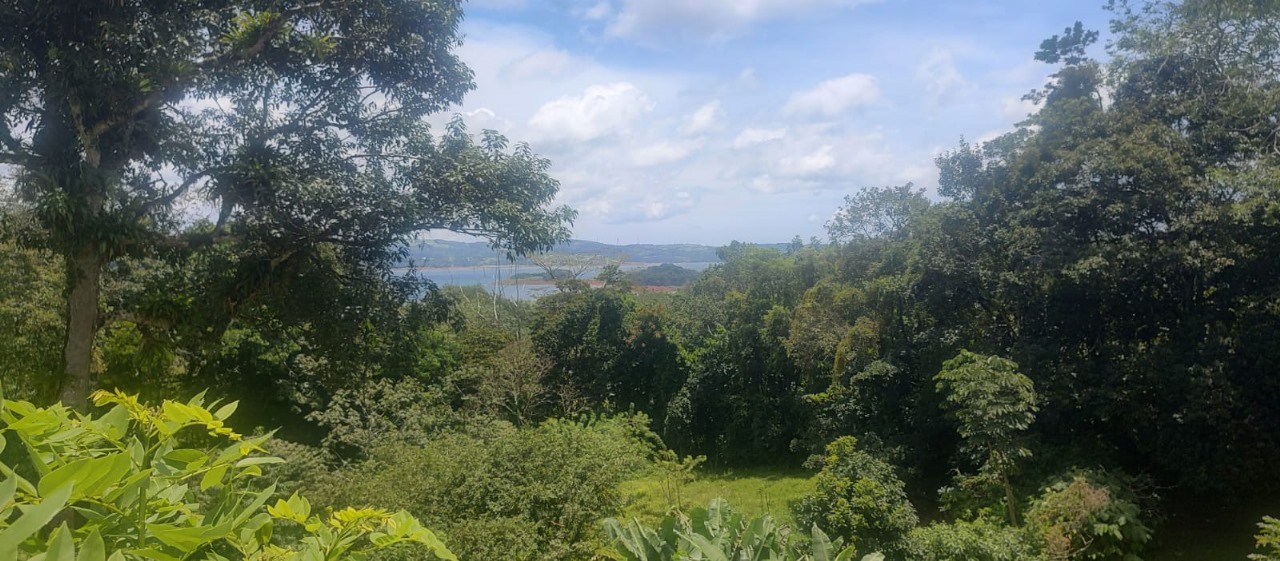 Stunning 2-bedroom, 2-bathroom home with Pool and Lake Arenal Views photo 24