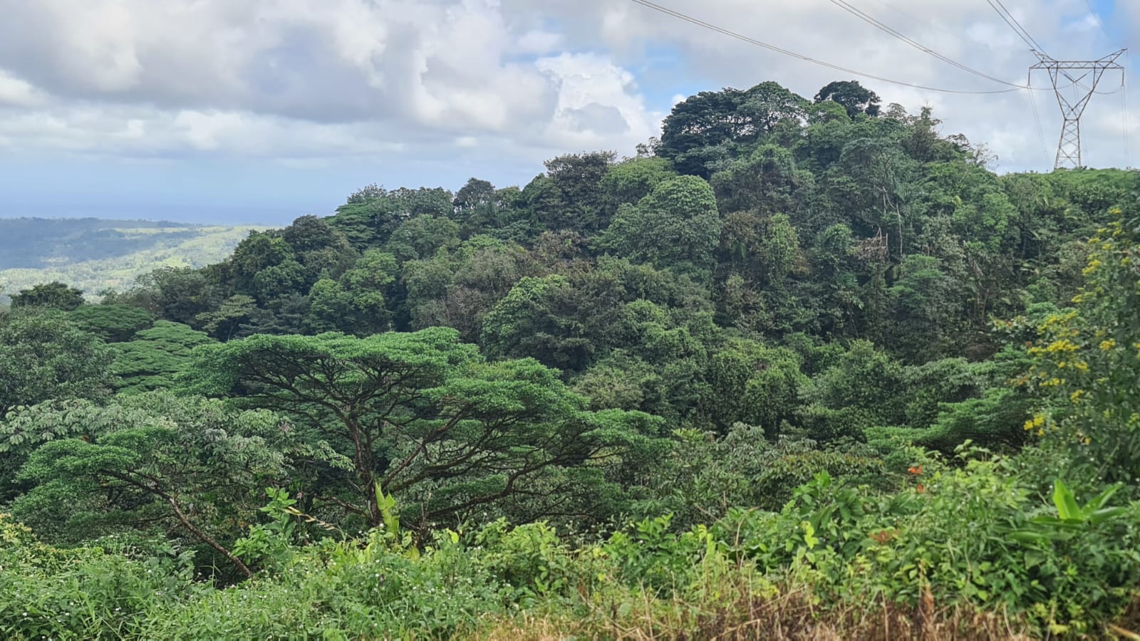 33 Hectare (81.5 acre) Property with Volcano Views in San Carlos, Alajuela photo 19