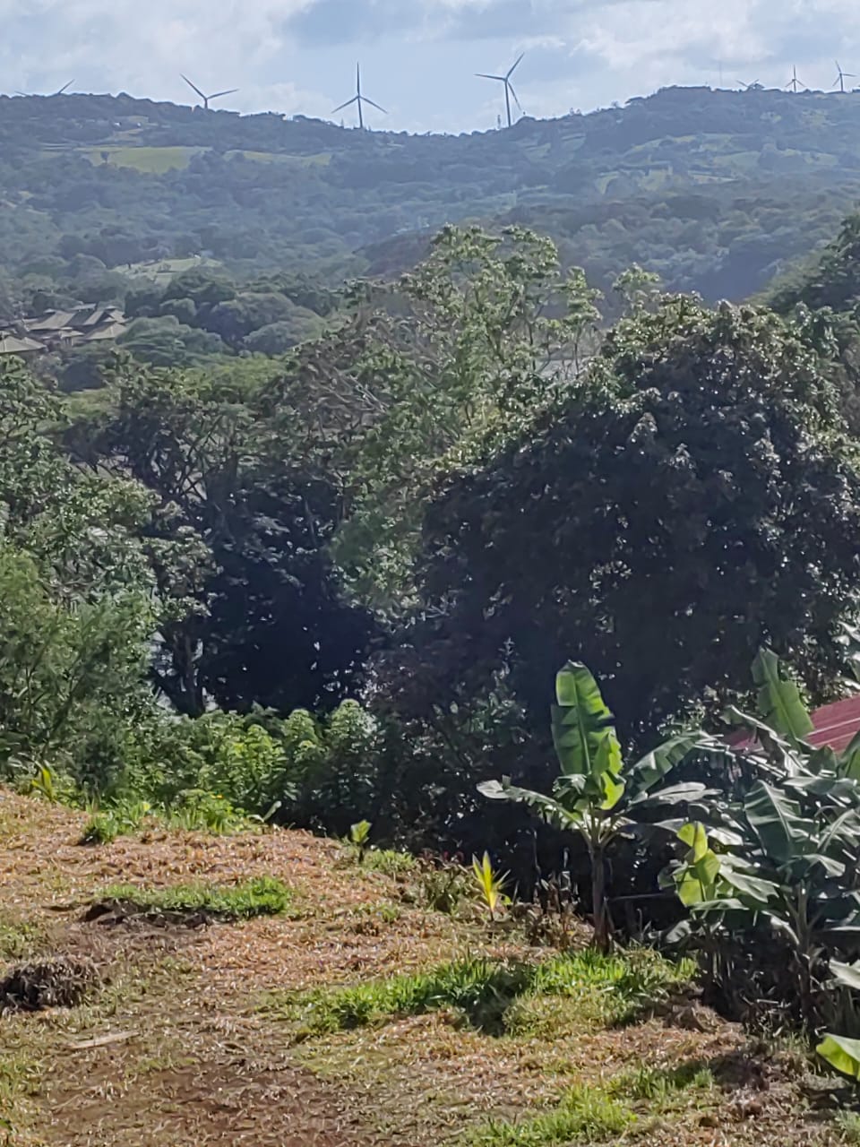 Lovely1,903 m3 (0.47 Acre) Near Lake Arenal in  Tronadora photo 8