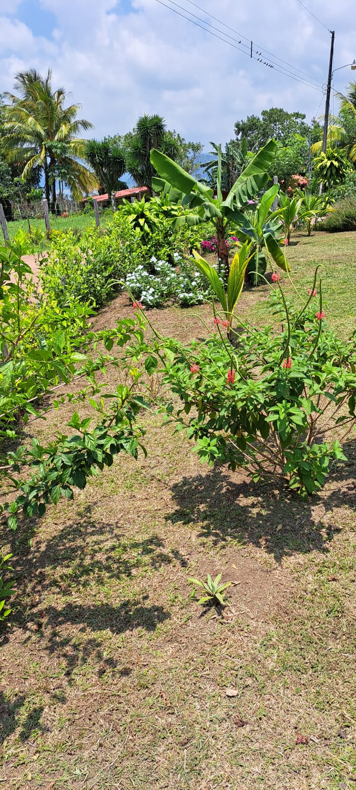 Lovely 3 Bedroom 1 Bathroom Home with Lake Arenal View In Tronadora photo 21