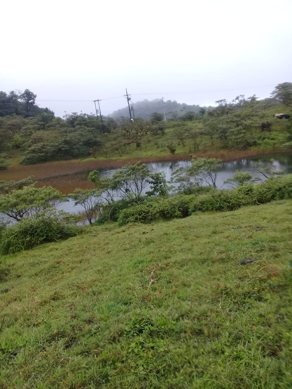 21.8 Hectare Development On Lake Cote, Guatuso, Alajuela photo 9