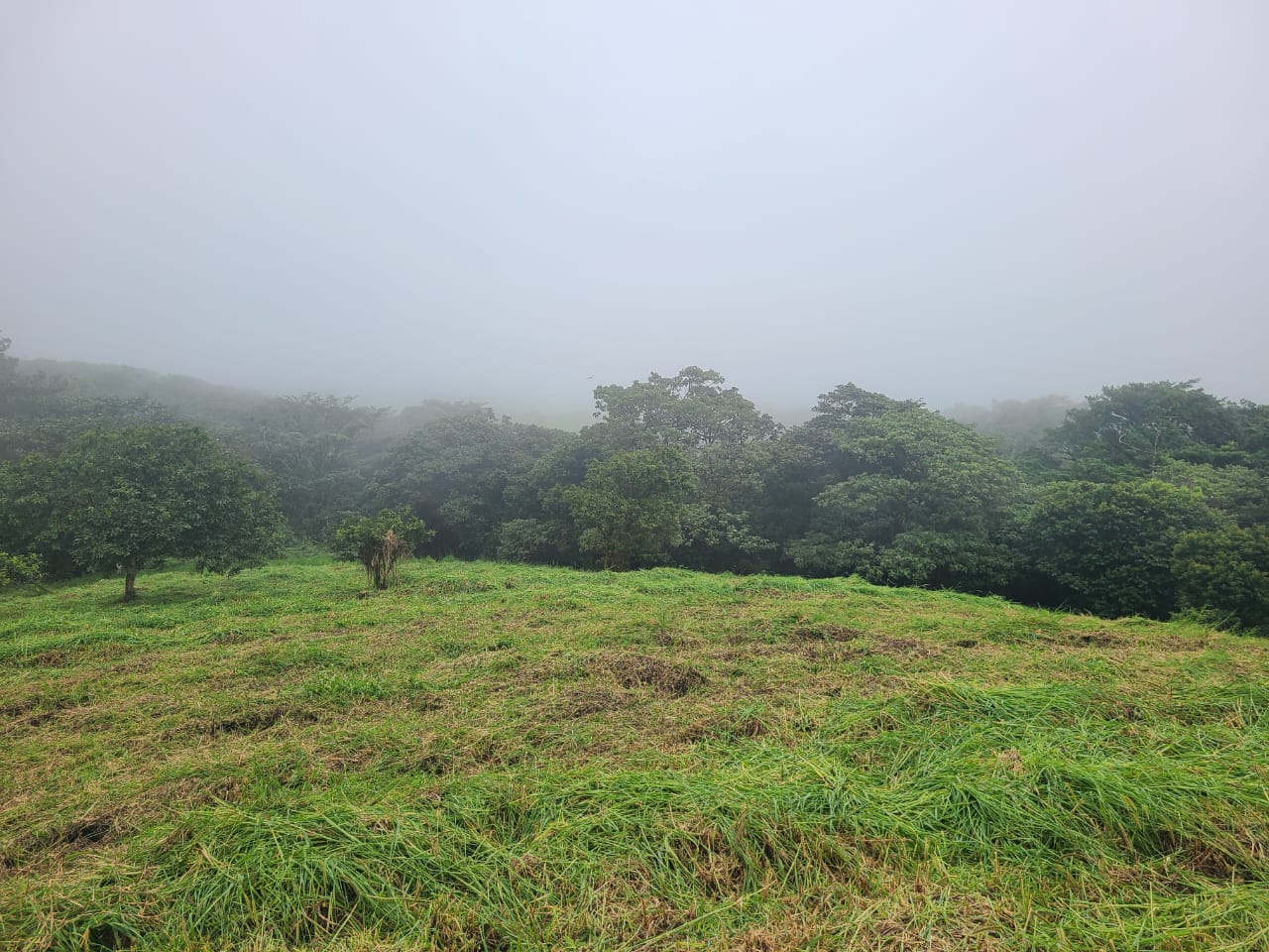 Stunning 12.59-Acre Lot with Volcano Views in Nuevo Arenal  photo 10