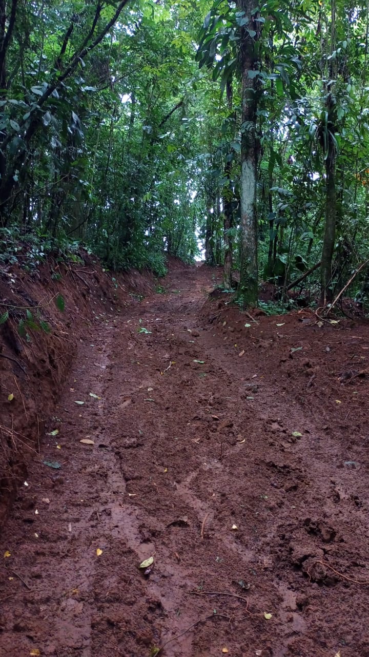 Gorgeous 50,372 m2 (12,4 acre) Farm In Cabanga, Guatuso photo 24