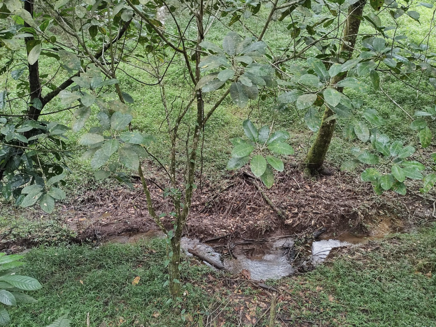 Charming 3-Bedroom Home with Guest House & Stunning Lake Arenal Views  photo 37