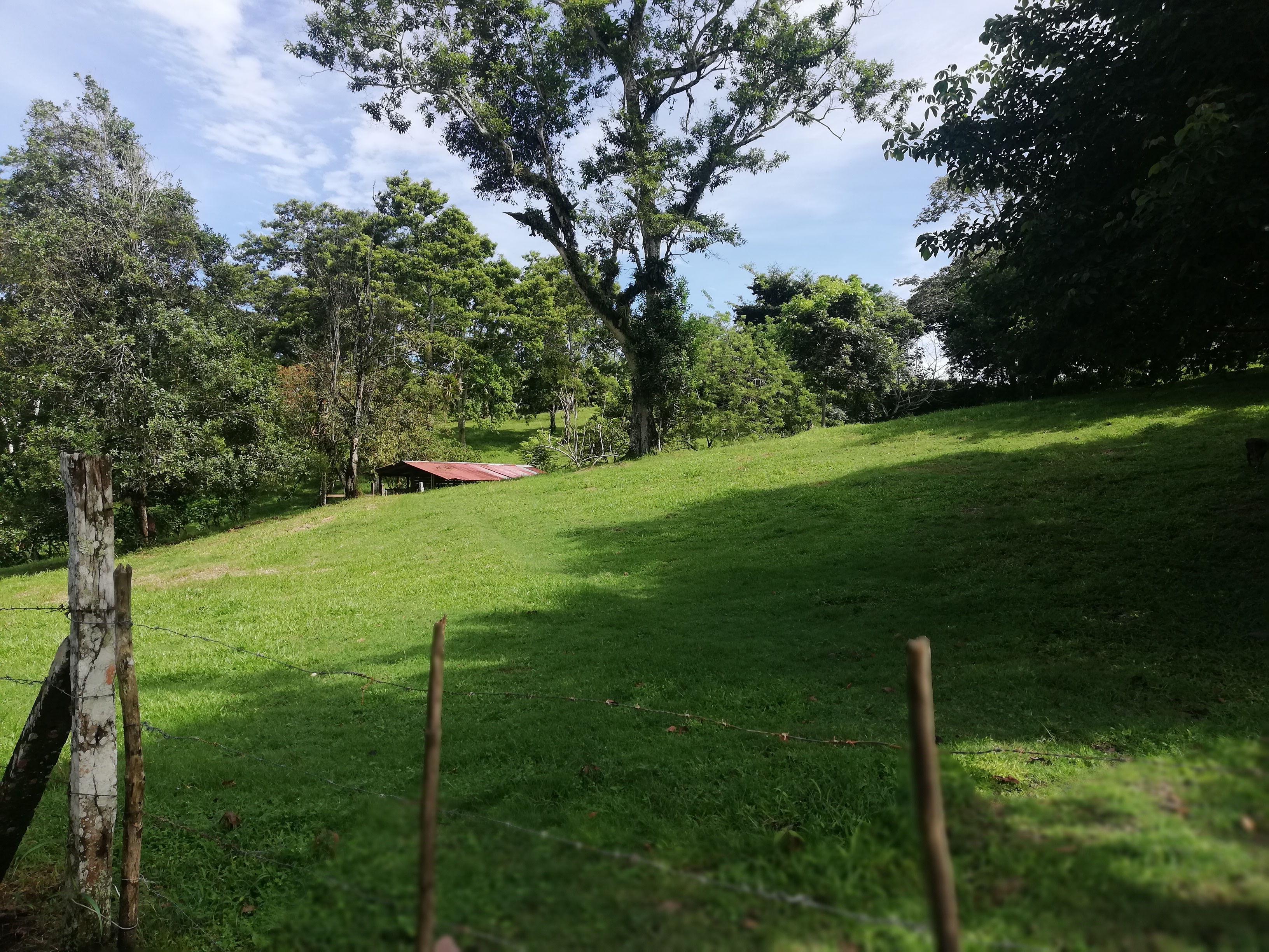 Gorgeous Property with Enormous Income Potential Near Lake Arenal! photo 48