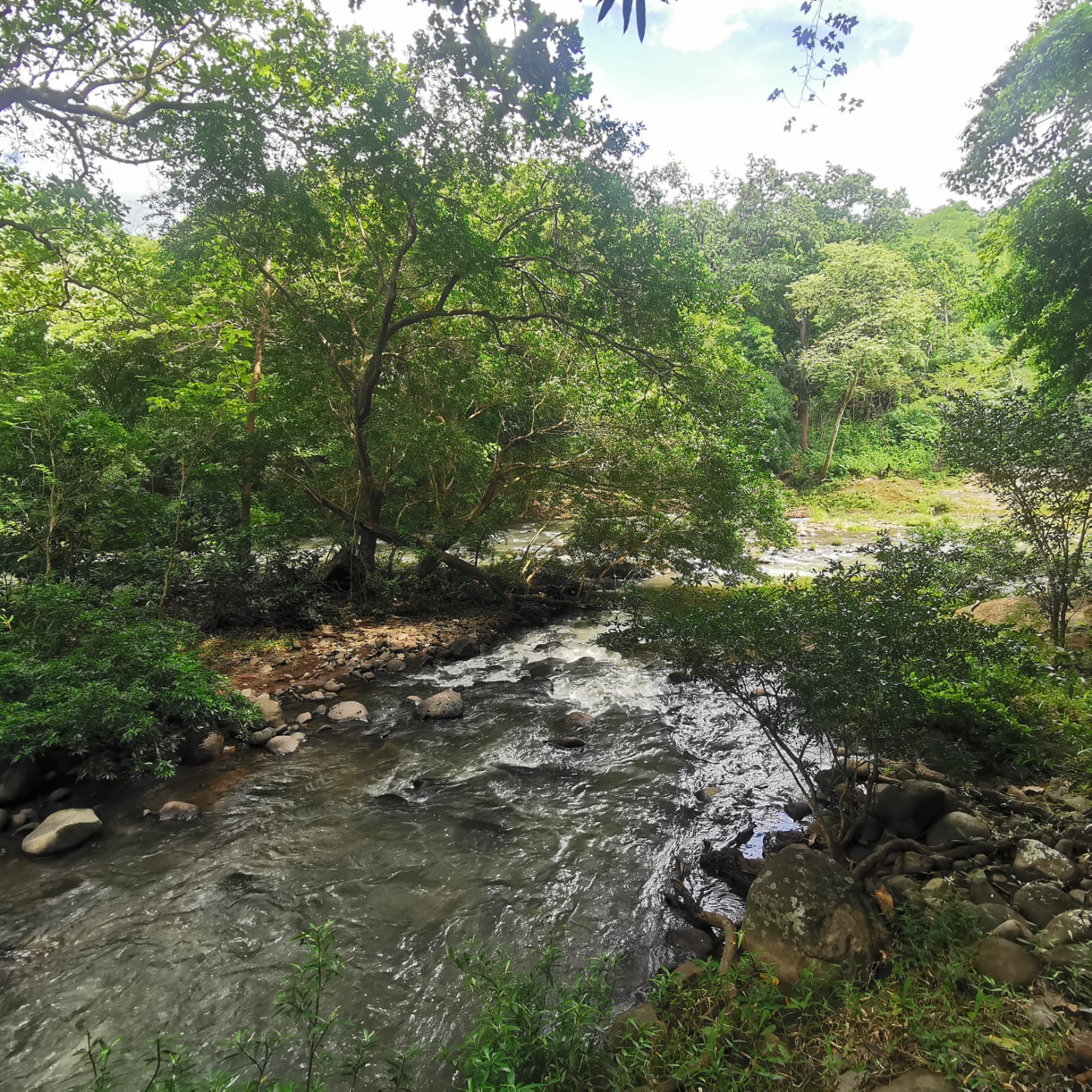 450-Hectare Estate w/ Nature Reserve, Three Homes & Rivers in Guanacaste photo 68