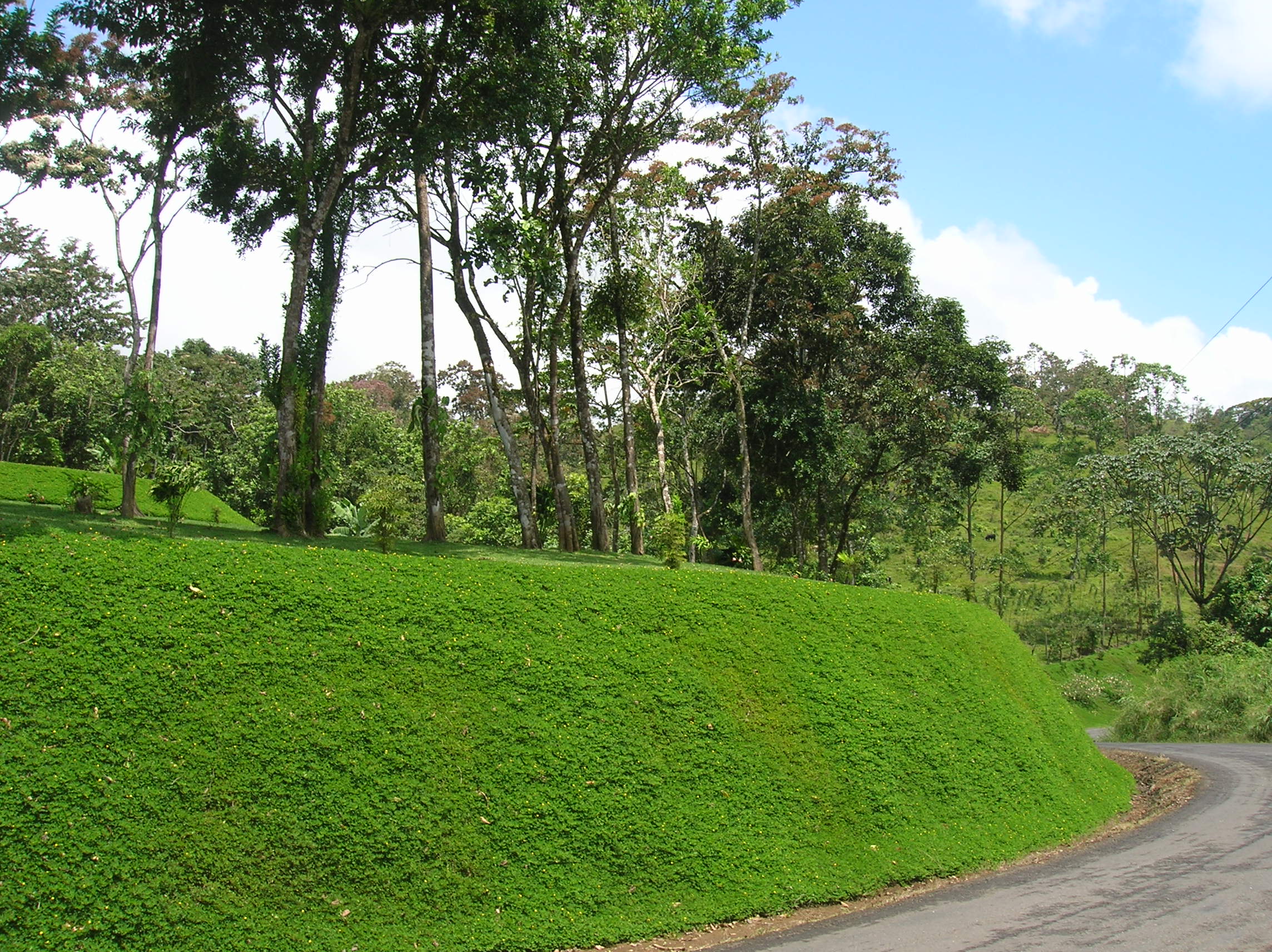 Prime Acreage directly on the Lake and Main Road In Nuevo Arenal photo 10