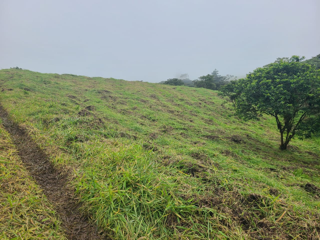 Stunning 12.59-Acre Lot with Volcano Views in Nuevo Arenal  photo 8