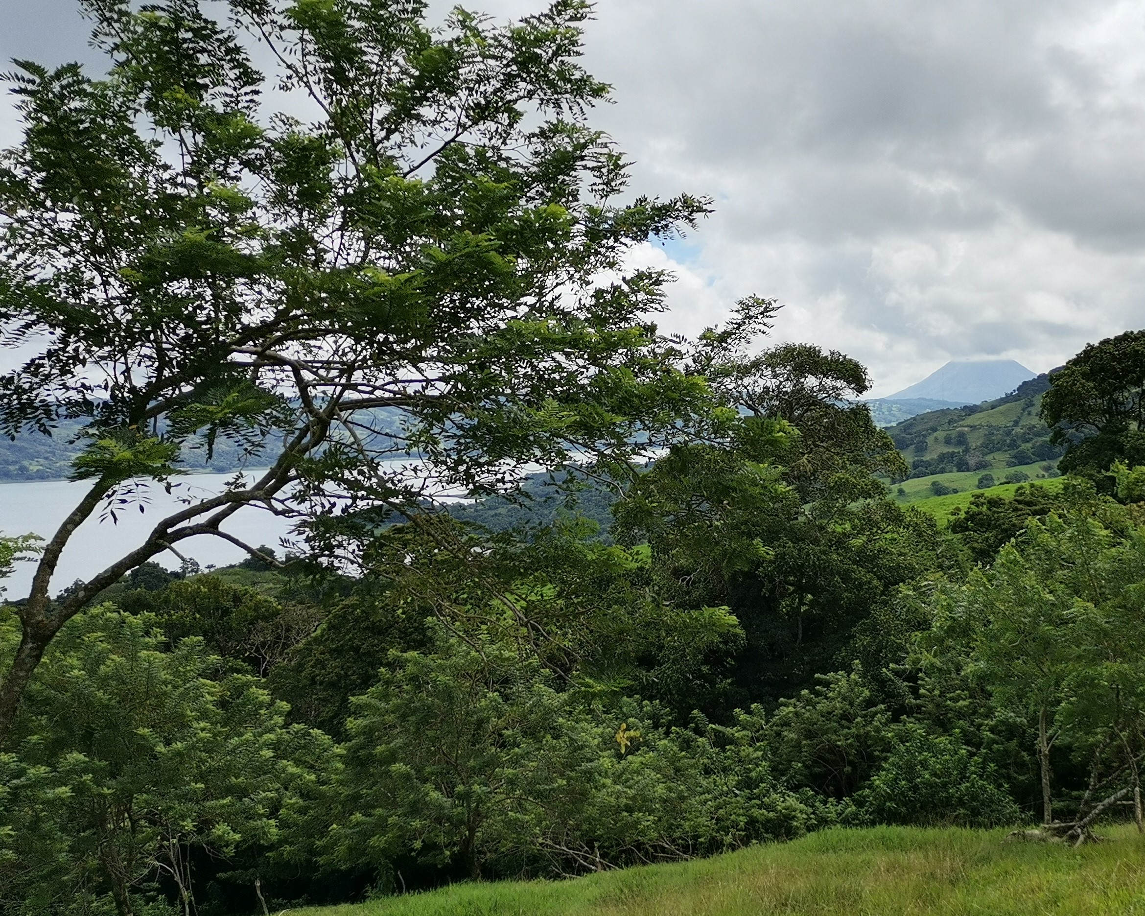 Magnificent 24,811m2 Lake and Volcano View Parcel with Huge Views in Tronadora photo 21