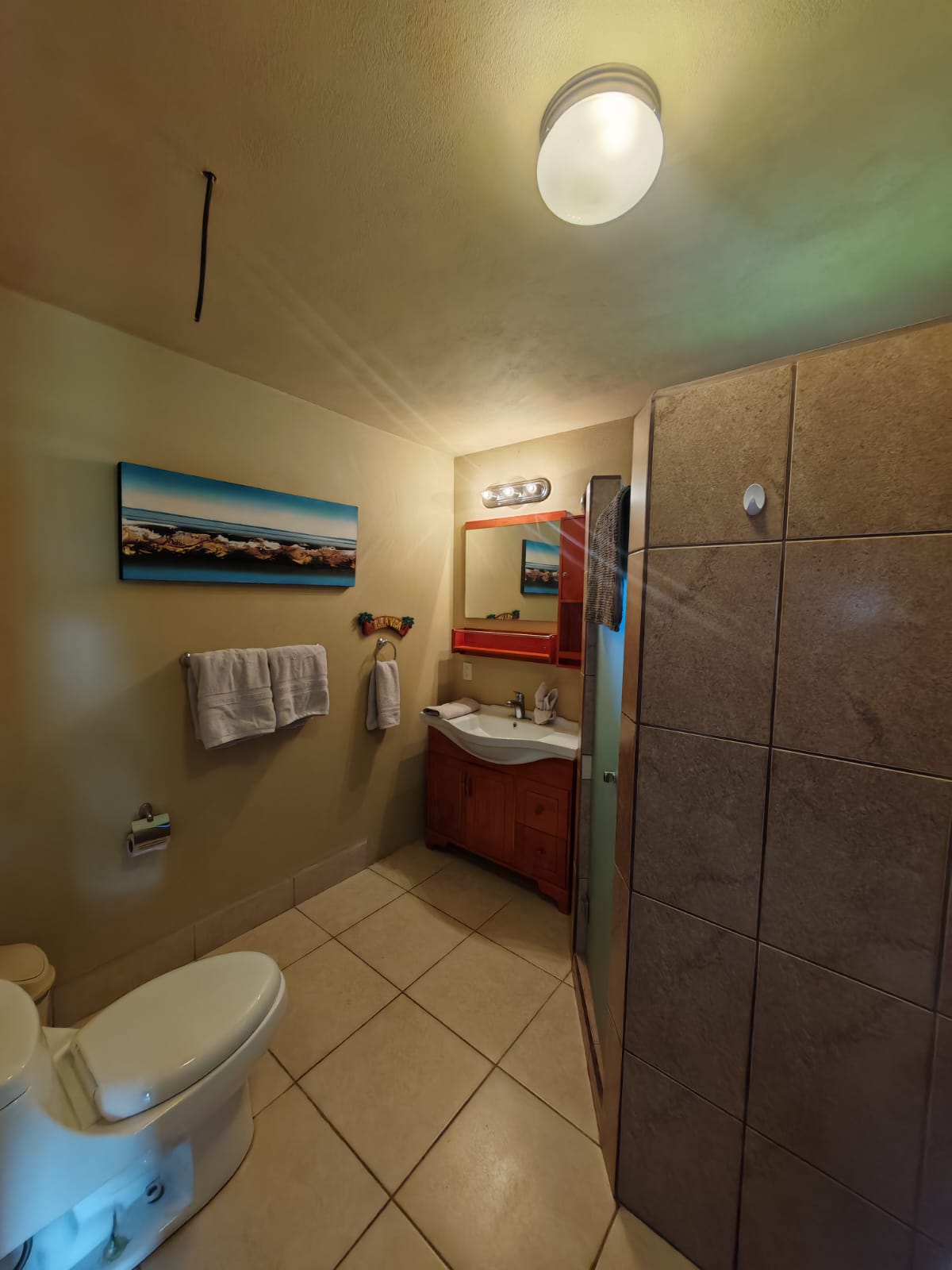 Charming 2BR Home + 1BR Casita on 1,000 m² Lot with Volcano & Lake Views photo 48