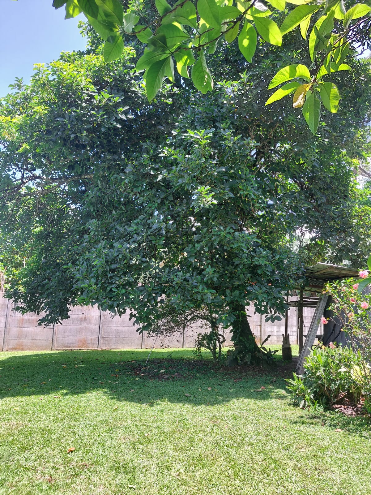 Lovely, 4 BD, 2 BA Home +  Independent 2 BD, 1 BA Rental Unit Near Lake Arenal photo 31