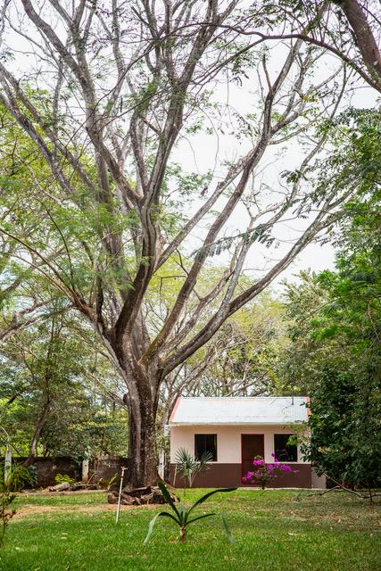 Beautiful 3-Story Property with 4 Apartments, Pool & Panoramic Comforts photo 36